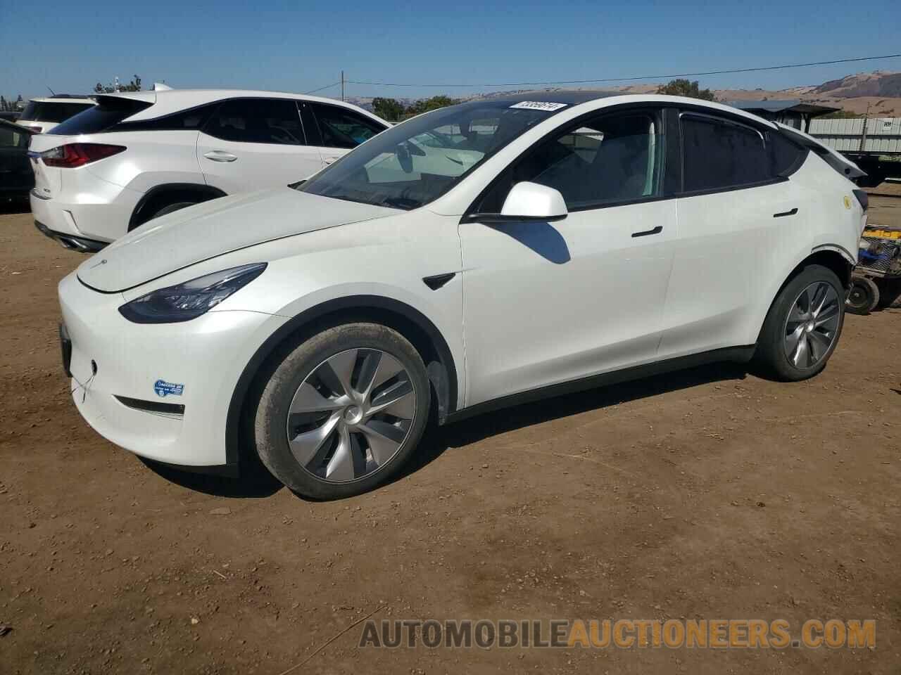 5YJYGDEE3MF086177 TESLA MODEL Y 2021