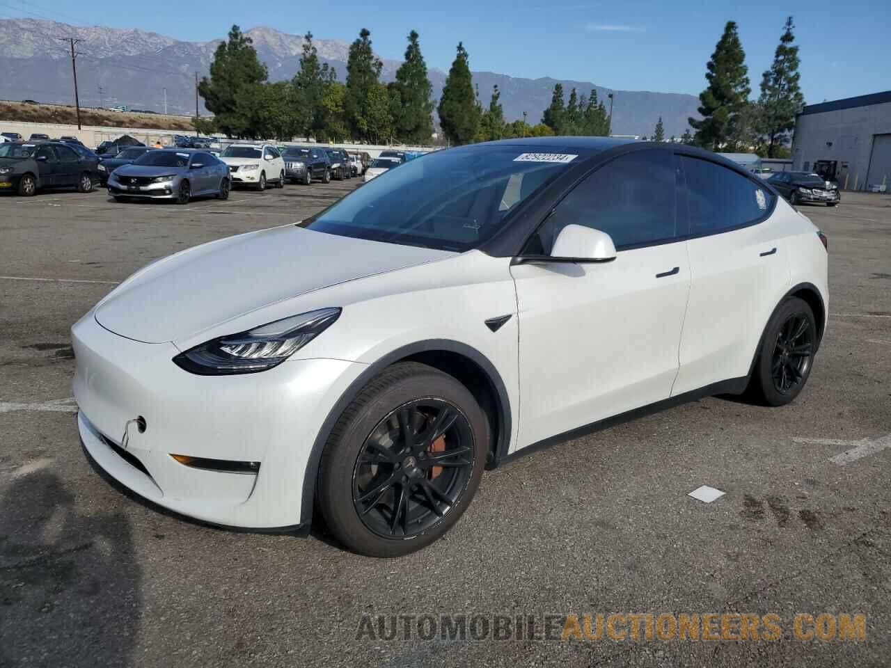 5YJYGDEE3MF293815 TESLA MODEL Y 2021