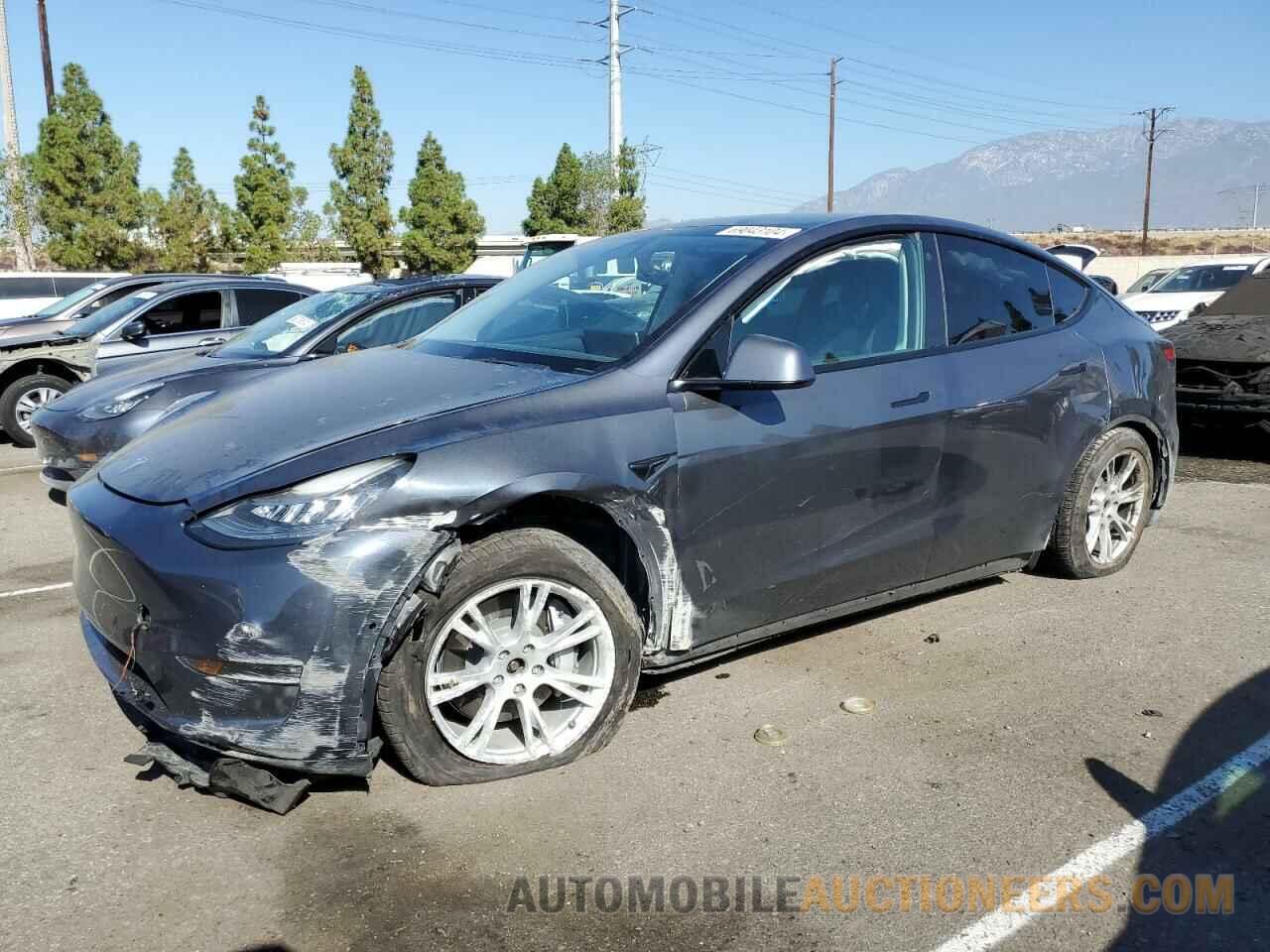 5YJYGDEE4MF146547 TESLA MODEL Y 2021