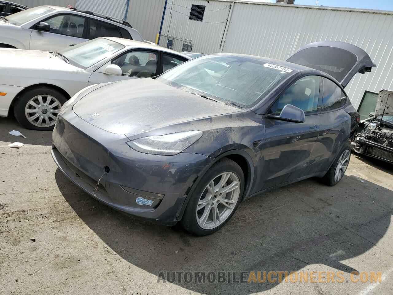 5YJYGDEE4MF160559 TESLA MODEL Y 2021