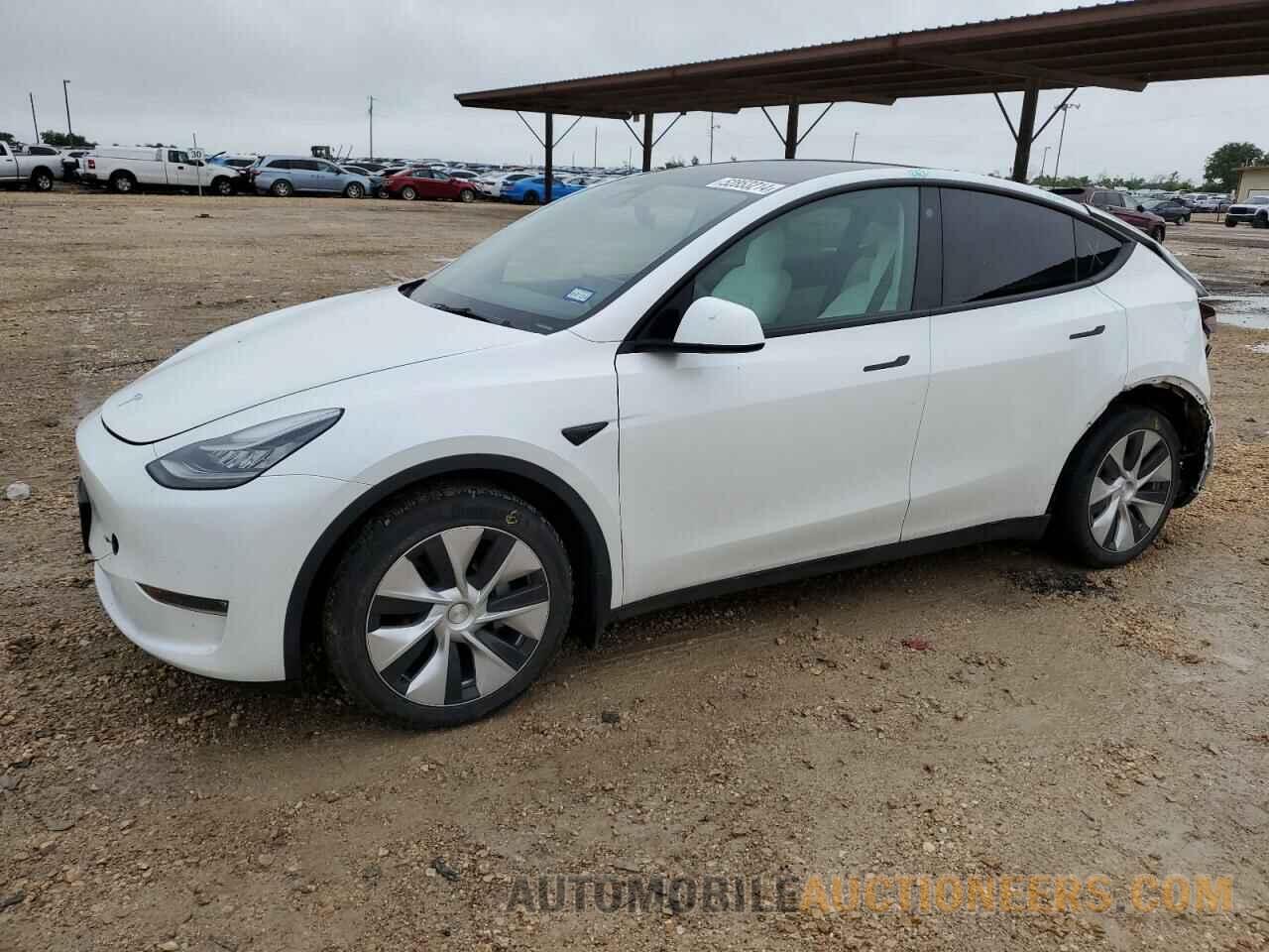 5YJYGDEE4MF182562 TESLA MODEL Y 2021