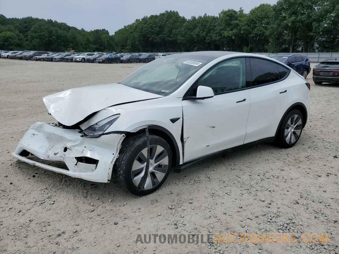 5YJYGDEE4MF243411 TESLA MODEL Y 2021