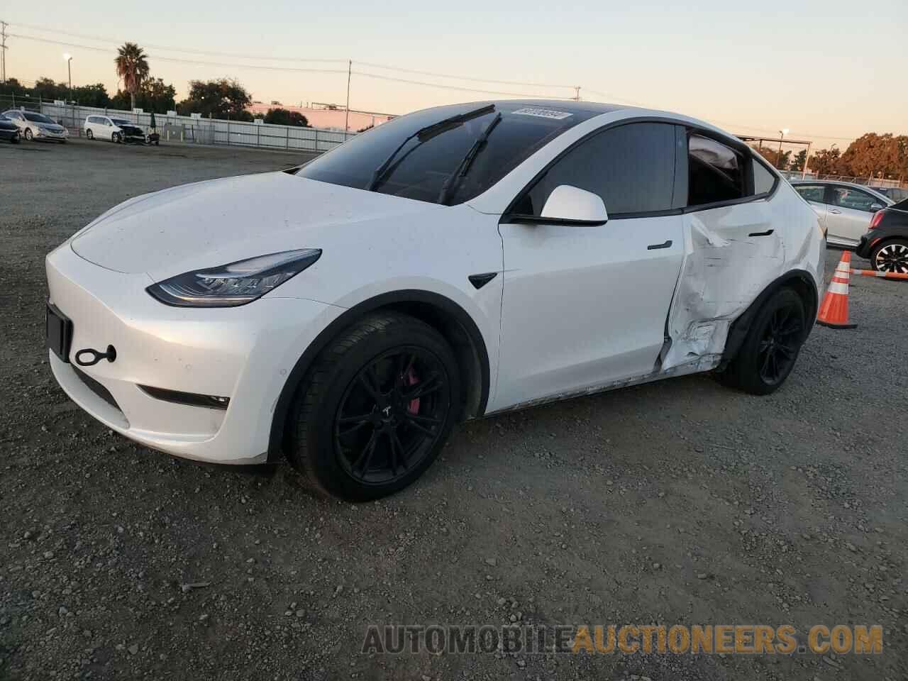 5YJYGDEE4MF254621 TESLA MODEL Y 2021