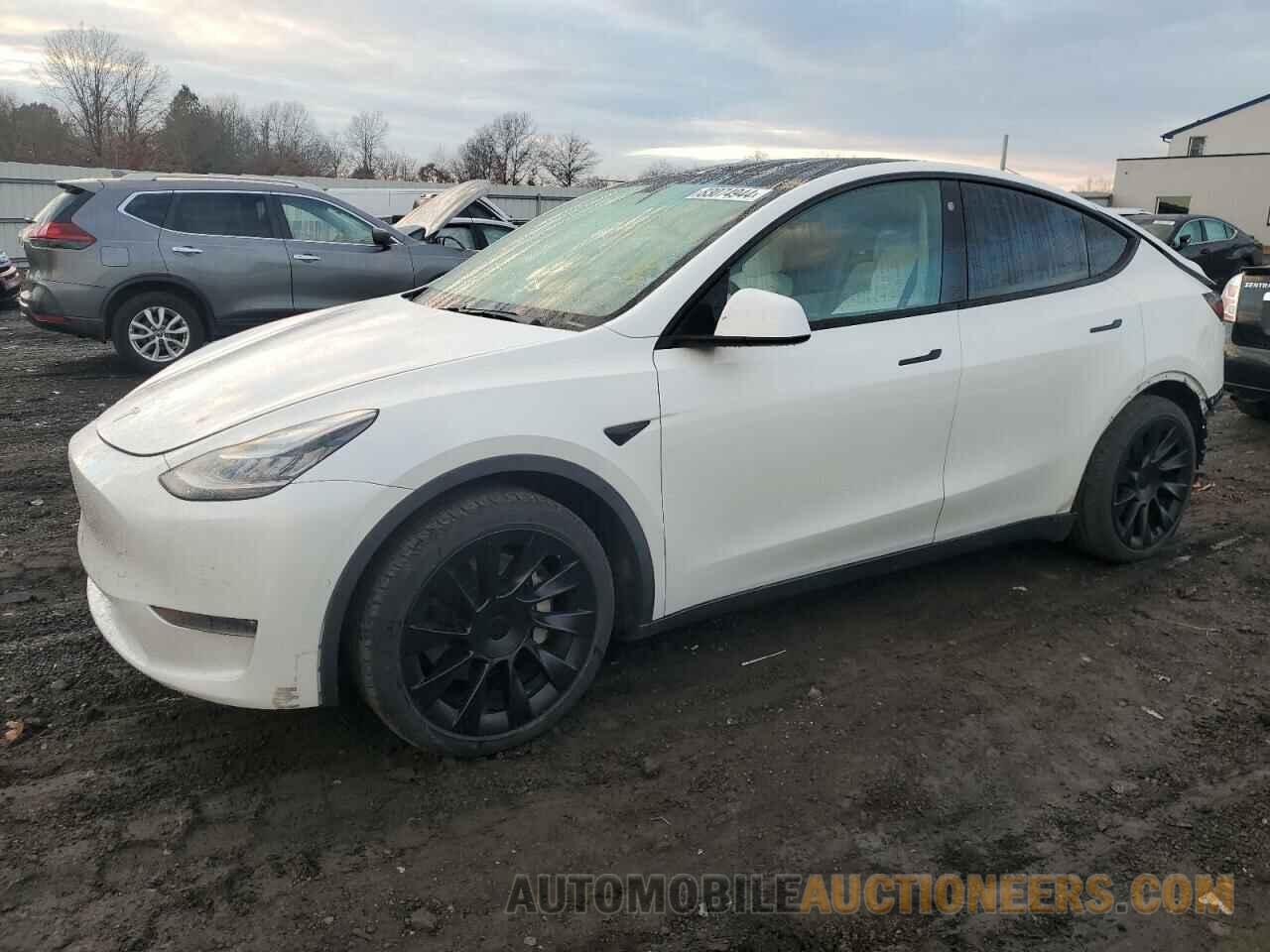 5YJYGDEE5MF075066 TESLA MODEL Y 2021