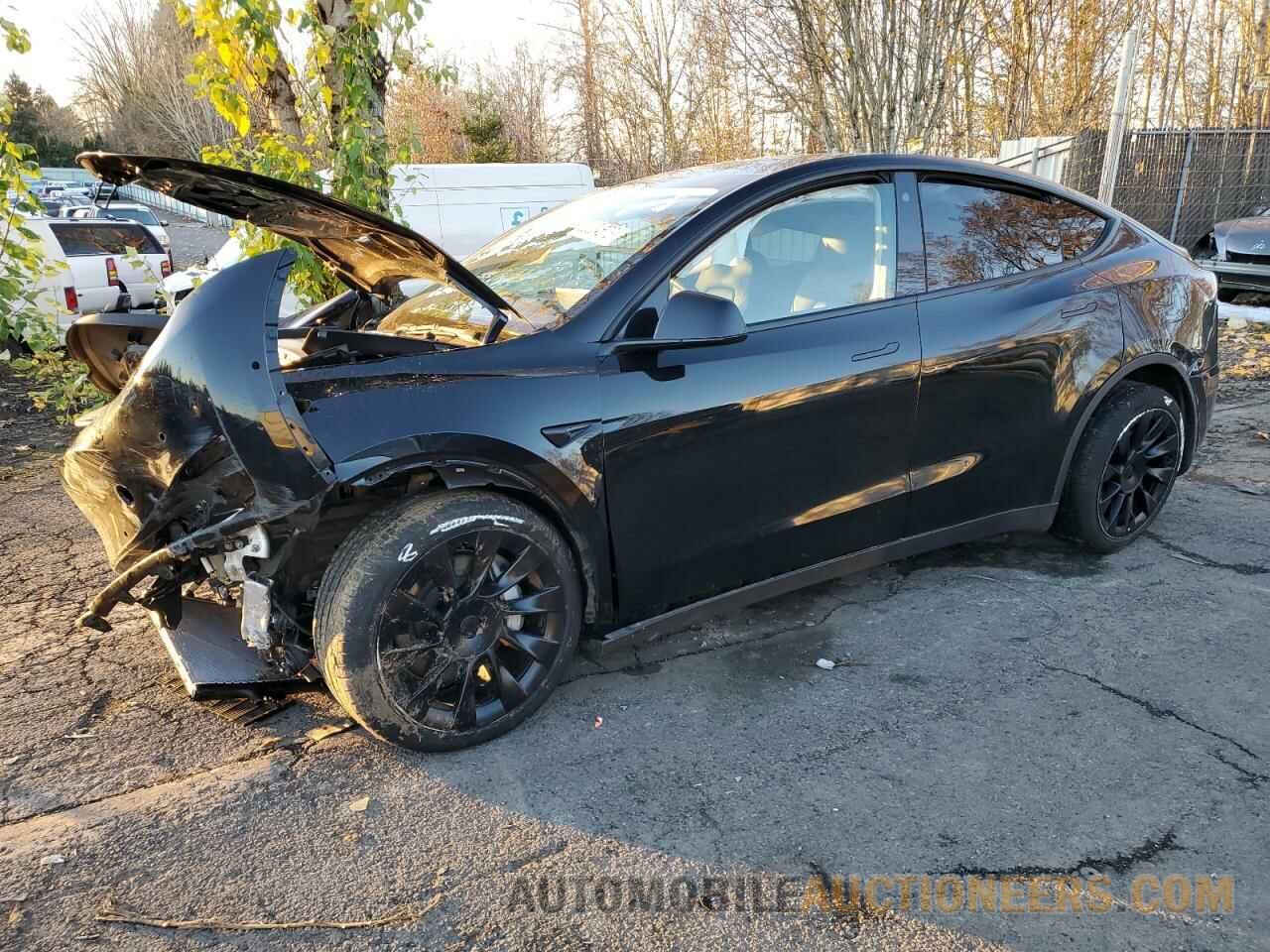 5YJYGDEE5MF097231 TESLA MODEL Y 2021