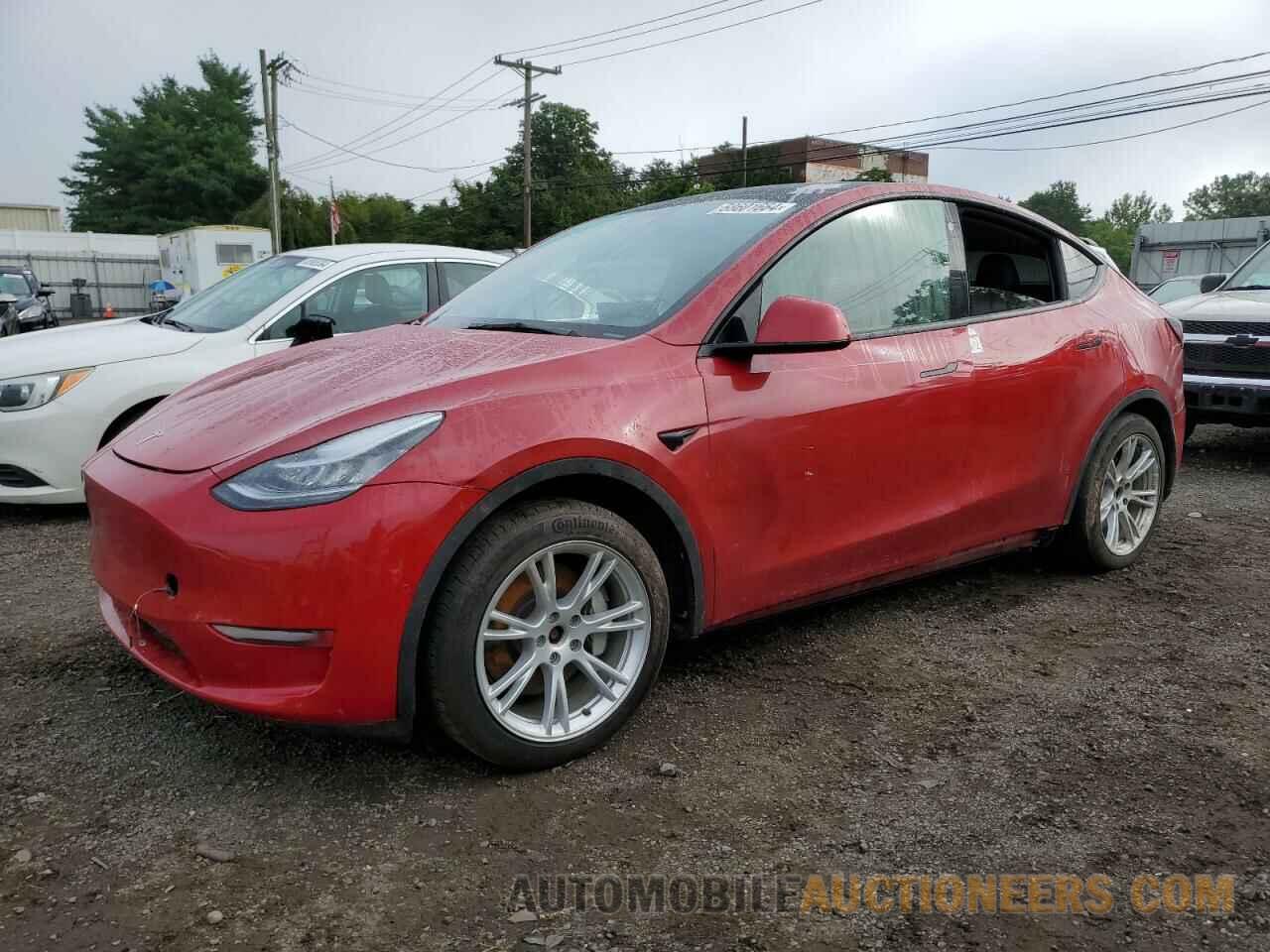 5YJYGDEE5MF113069 TESLA MODEL Y 2021