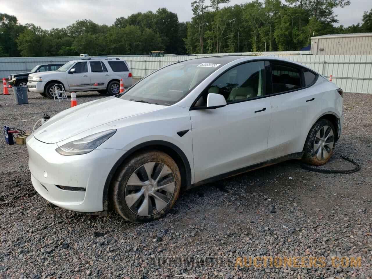 5YJYGDEE5MF146587 TESLA MODEL Y 2021