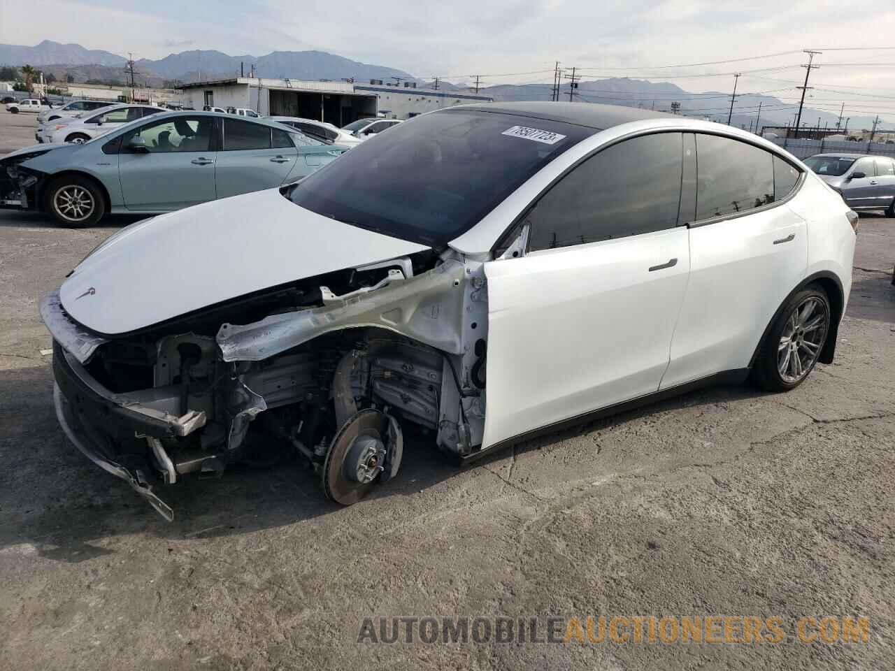 5YJYGDEE6LF019619 TESLA MODEL Y 2020