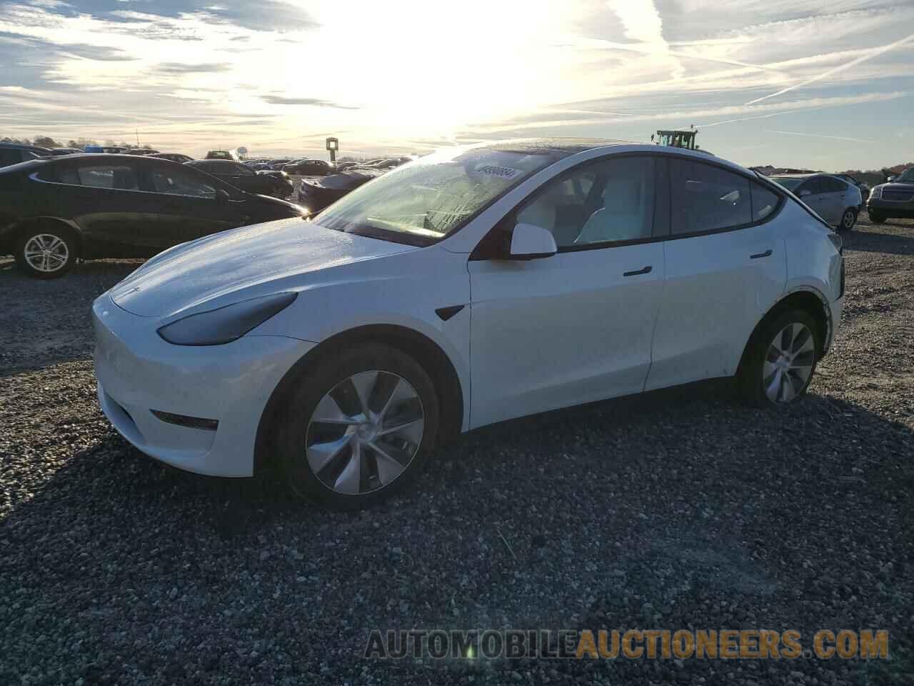 5YJYGDEE6MF081281 TESLA MODEL Y 2021