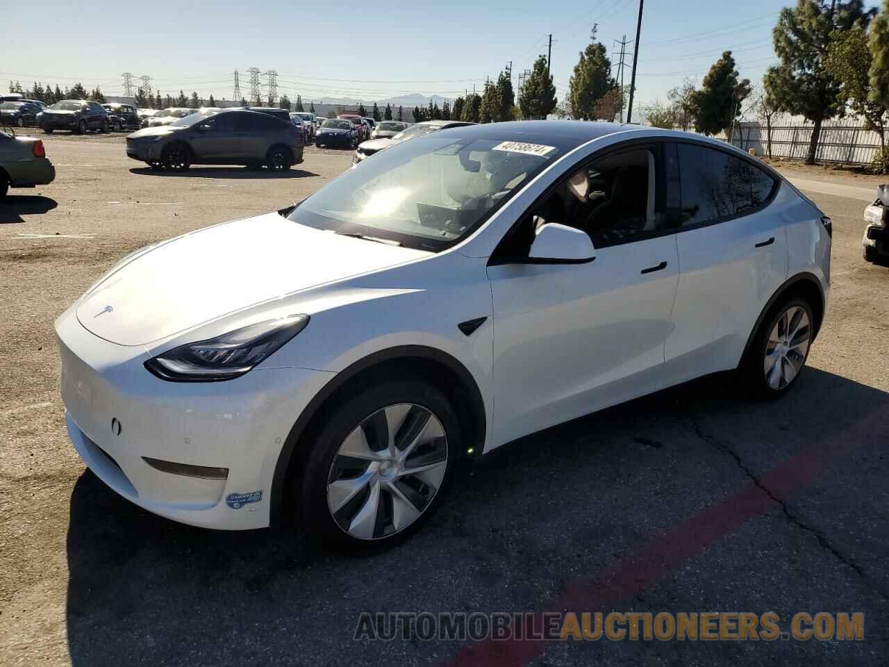 5YJYGDEE6MF088313 TESLA MODEL Y 2021