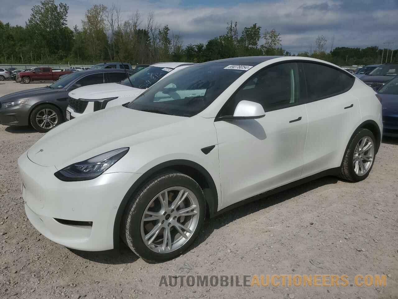 5YJYGDEE6MF194115 TESLA MODEL Y 2021