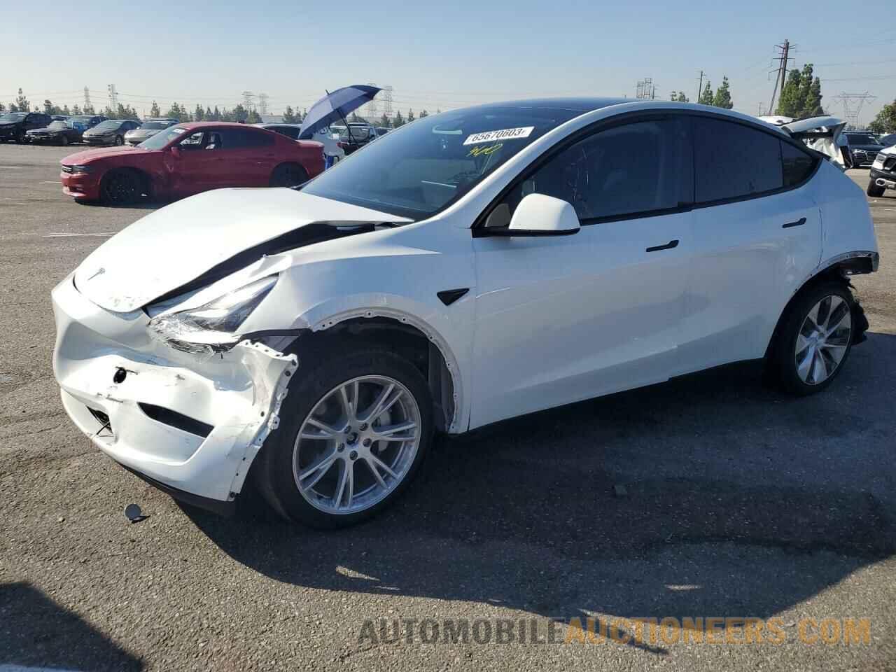 5YJYGDEE6MF243328 TESLA MODEL Y 2021