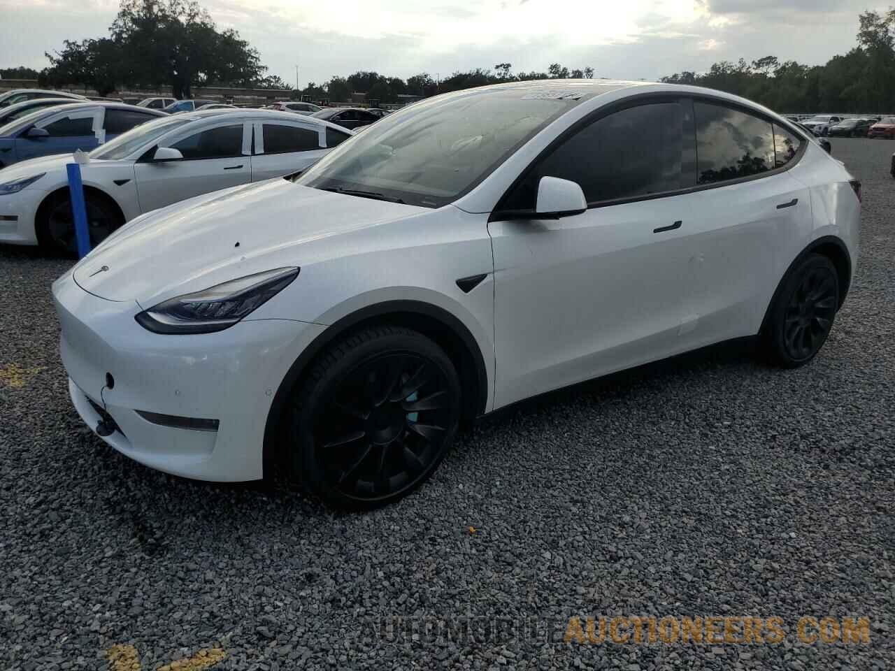 5YJYGDEE7MF062061 TESLA MODEL Y 2021