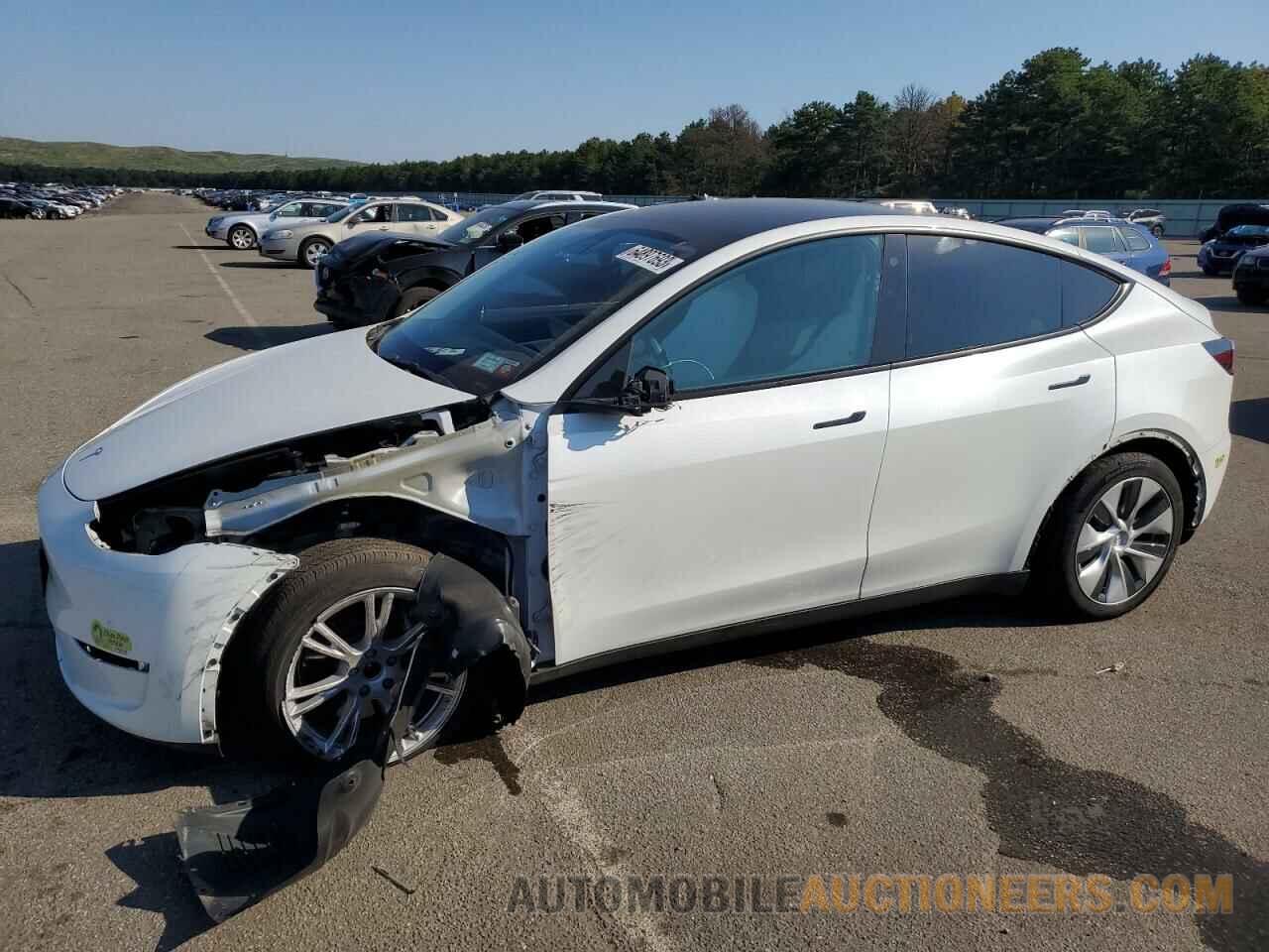 5YJYGDEE7MF087977 TESLA MODEL Y 2021