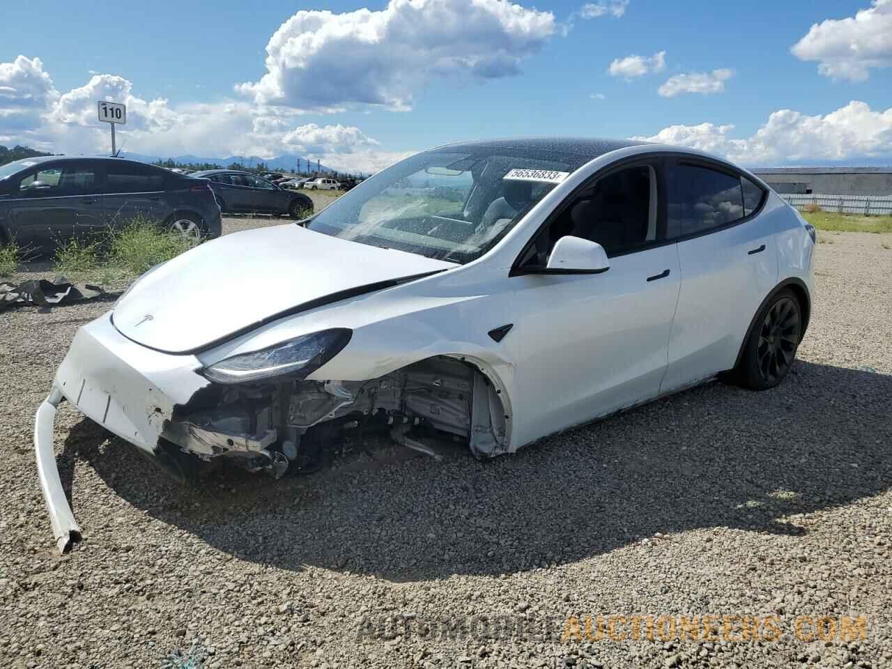 5YJYGDEE7MF218292 TESLA MODEL Y 2021