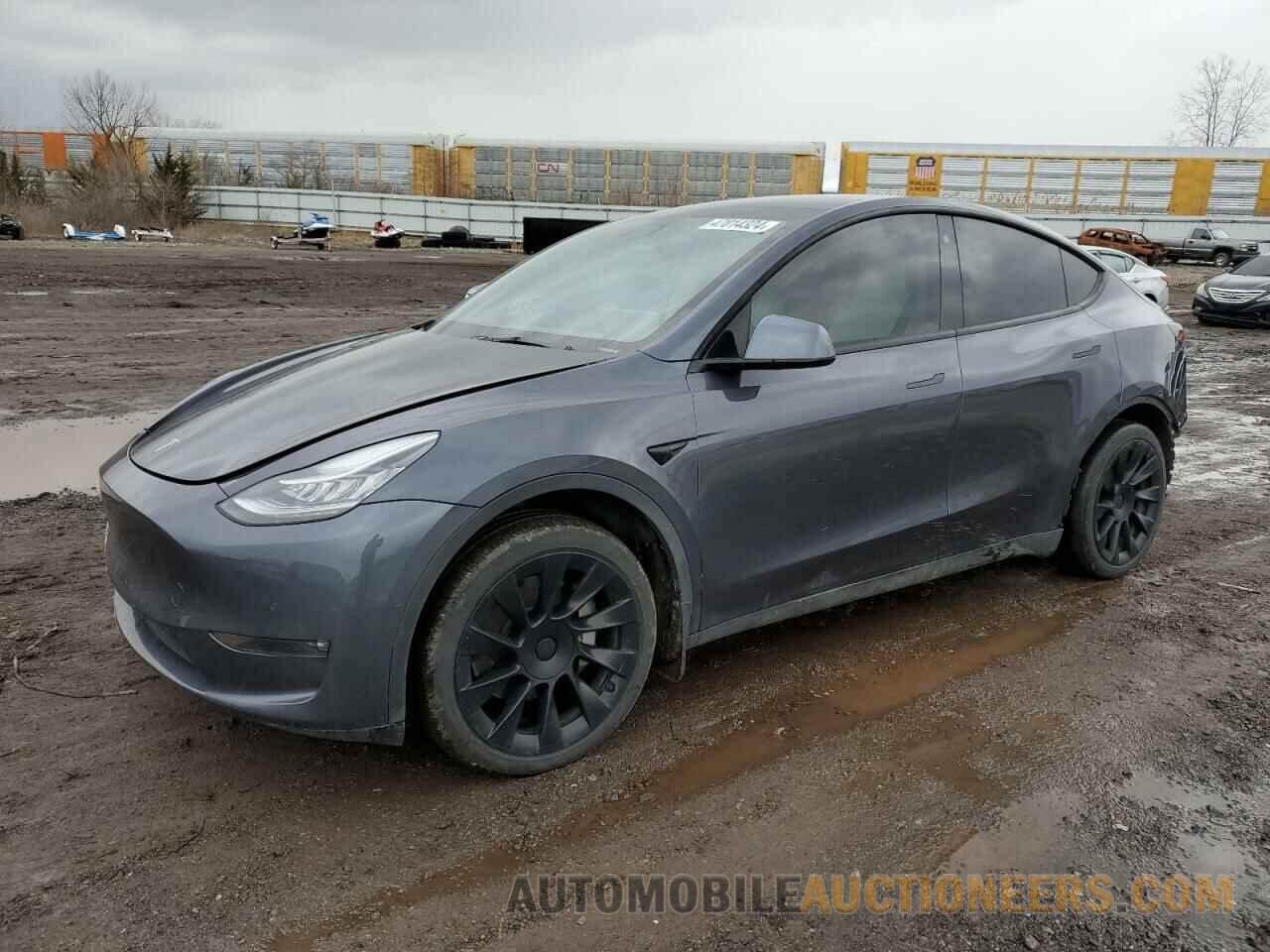 5YJYGDEE7MF251437 TESLA MODEL Y 2021