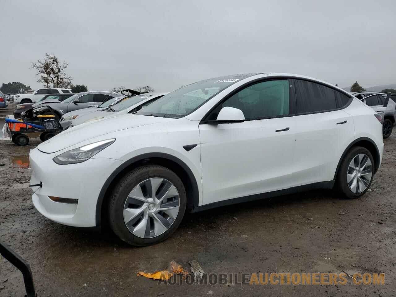 5YJYGDEE7MF295647 TESLA MODEL Y 2021