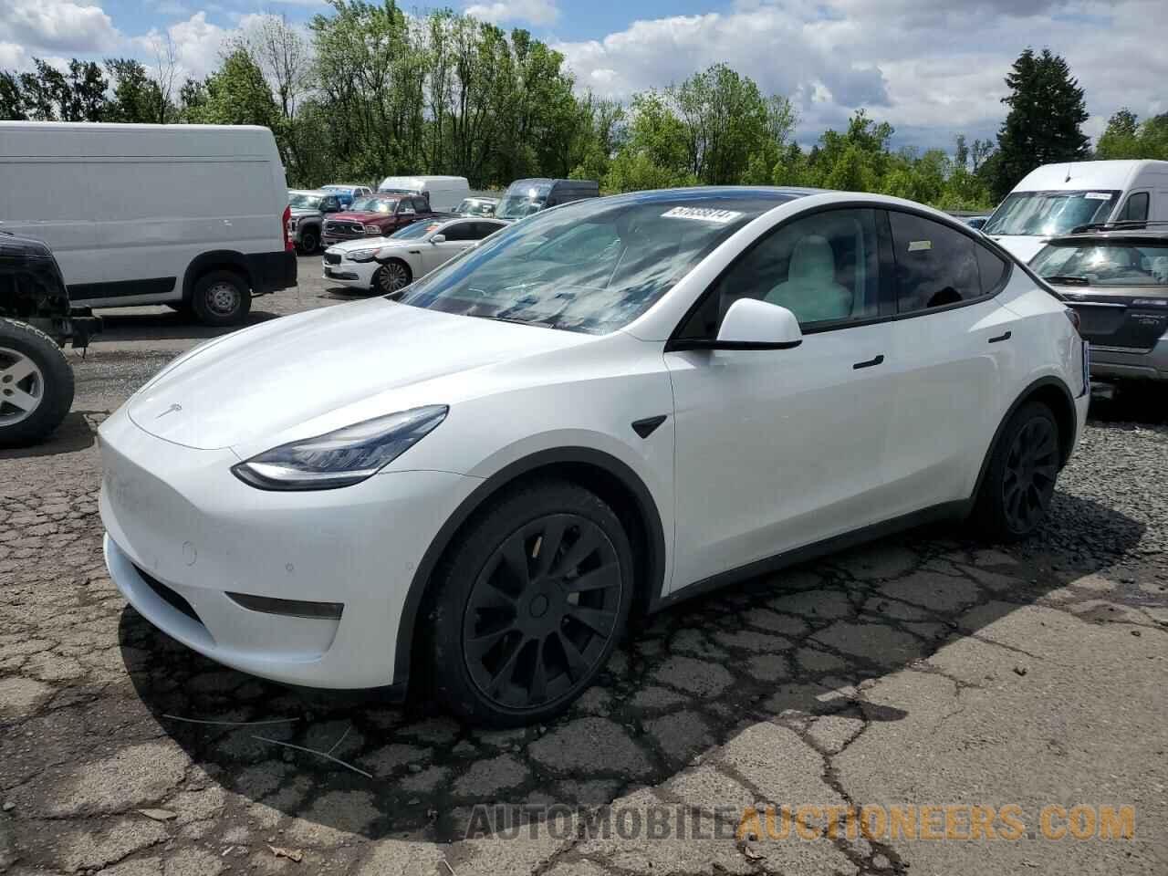 5YJYGDEE8MF085042 TESLA MODEL Y 2021