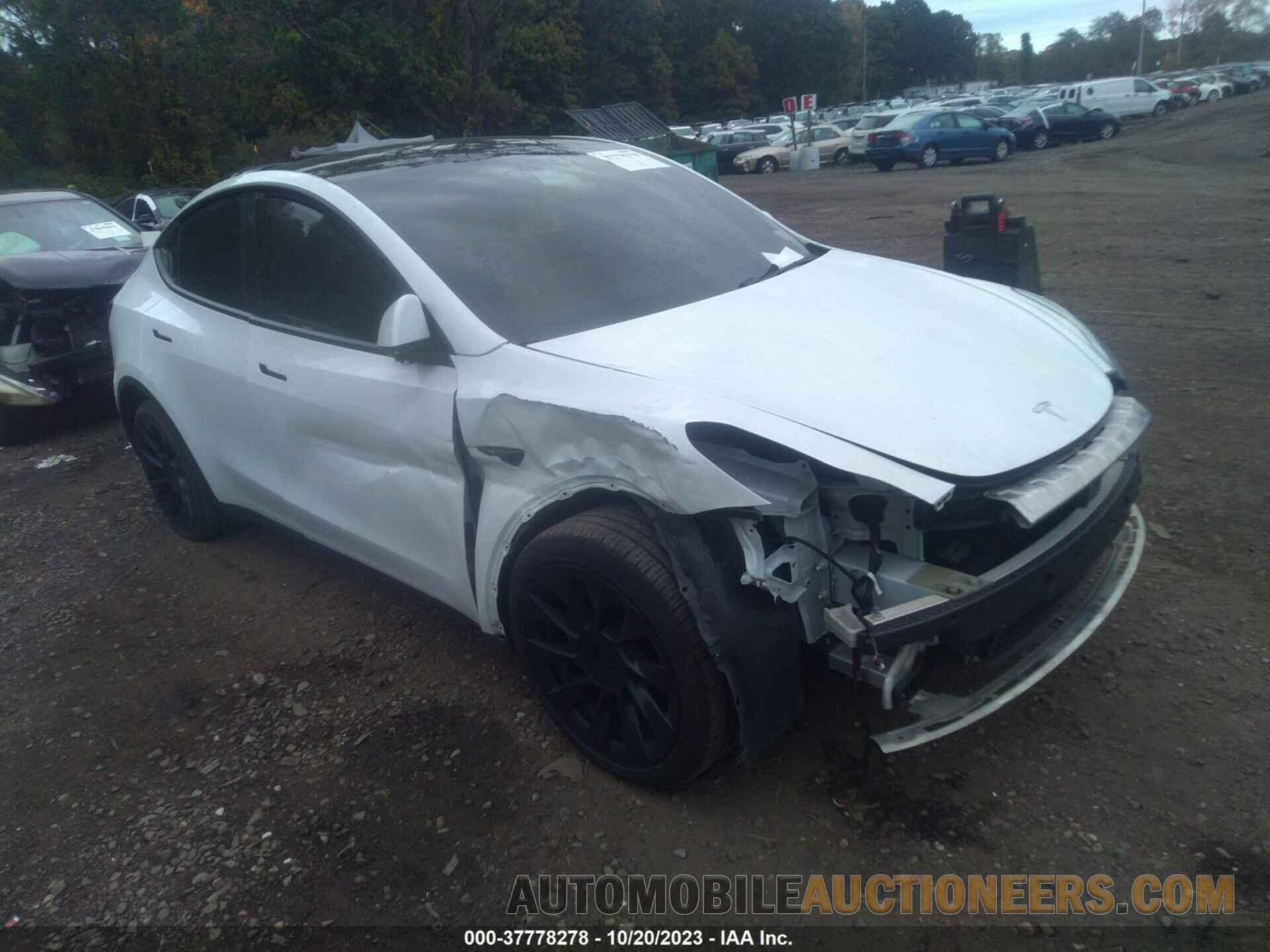 5YJYGDEE8MF087731 TESLA MODEL Y 2021