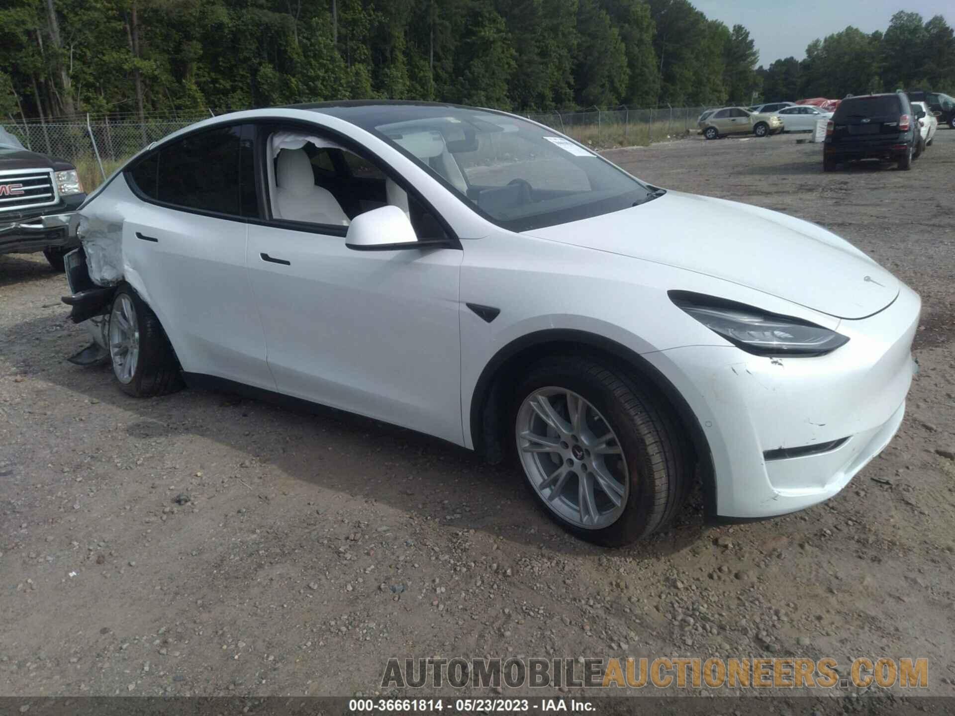 5YJYGDEE8MF144803 TESLA MODEL Y 2021