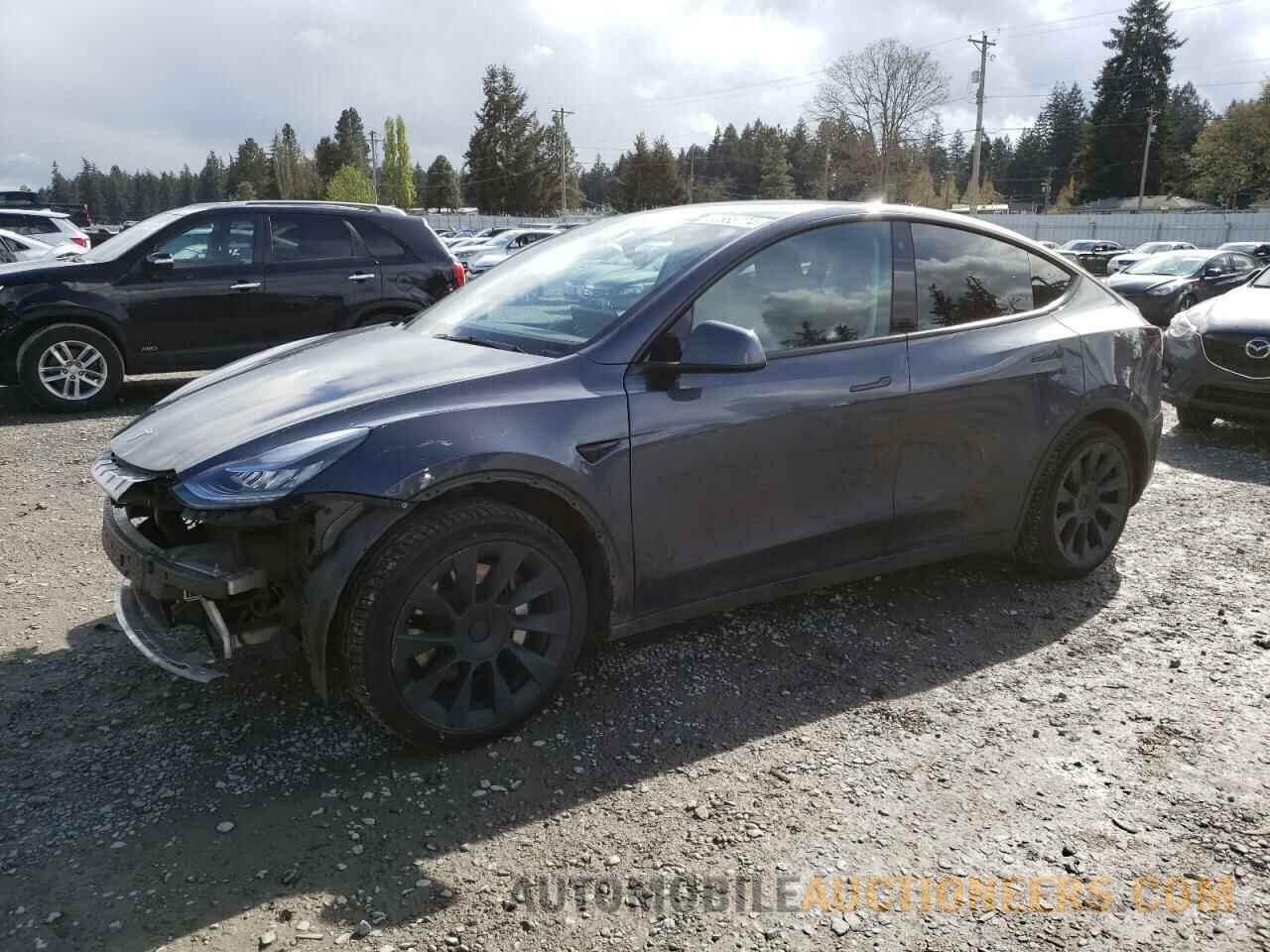 5YJYGDEE8MF158703 TESLA MODEL Y 2021