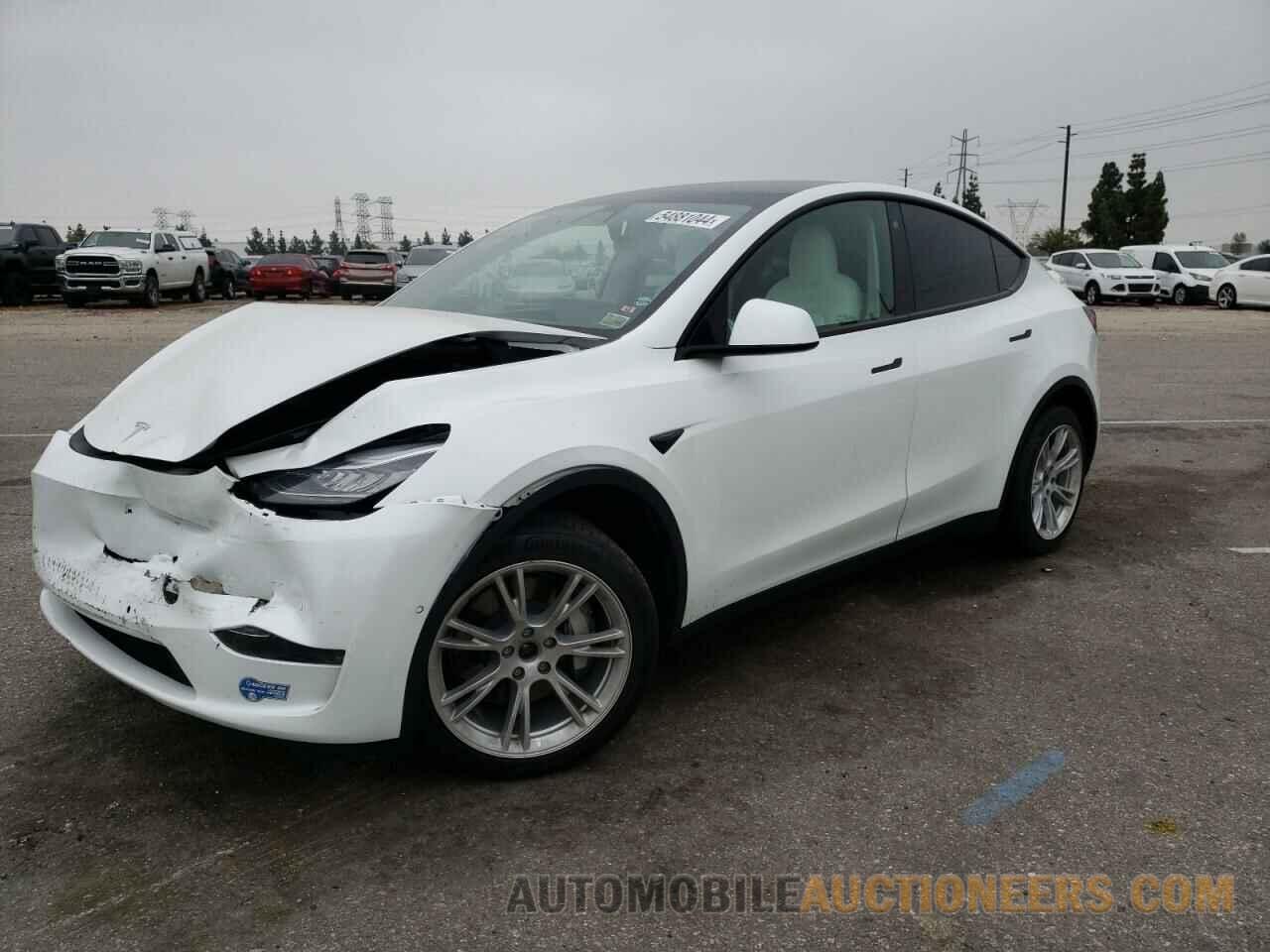 5YJYGDEE8MF213019 TESLA MODEL Y 2021