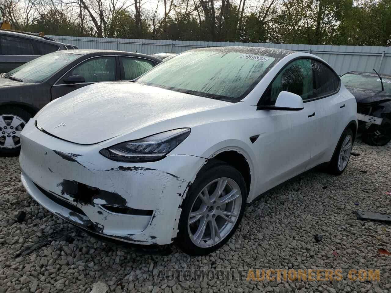 5YJYGDEE8MF241175 TESLA MODEL Y 2021