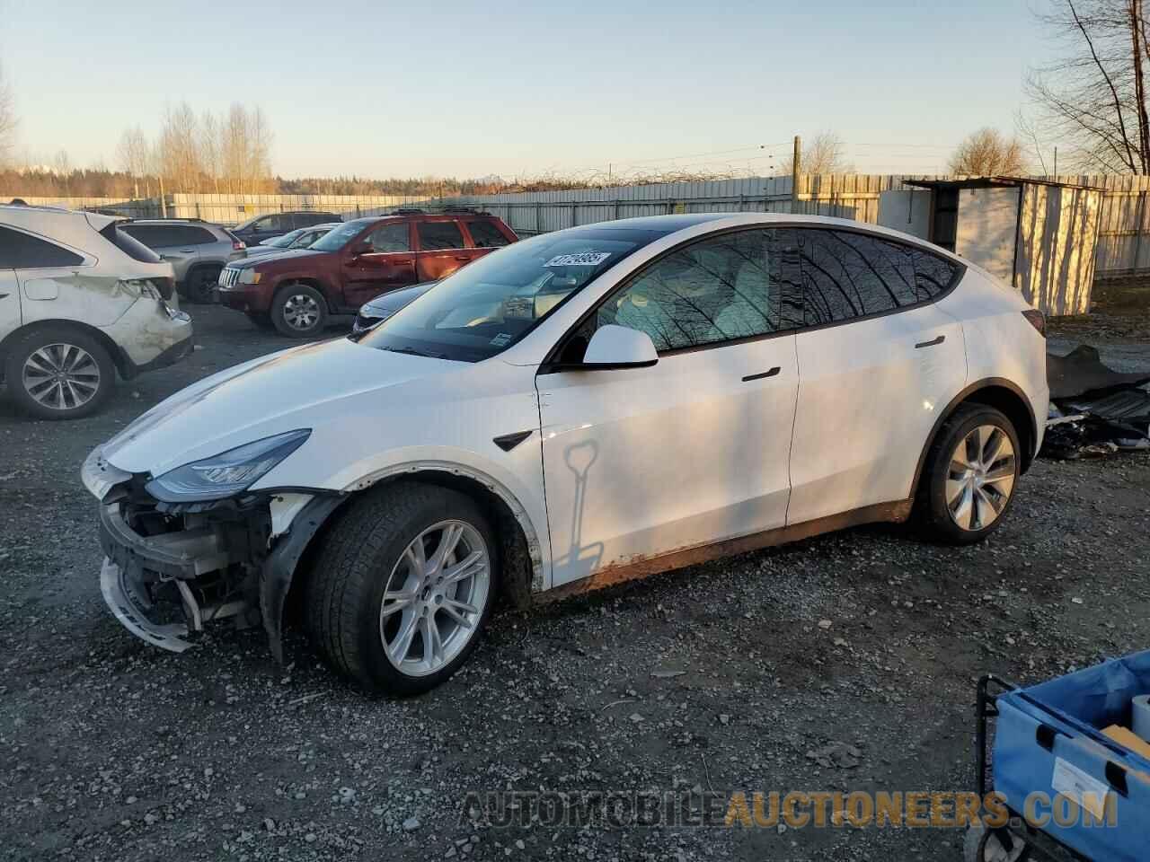 5YJYGDEE8MF244125 TESLA MODEL Y 2021