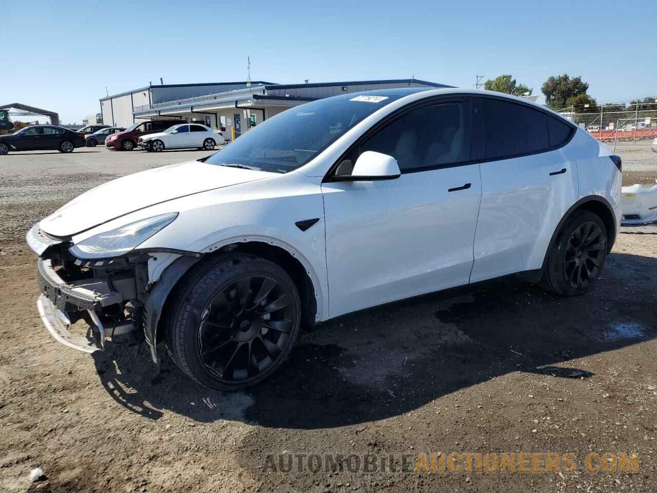 5YJYGDEE8MF249079 TESLA MODEL Y 2021