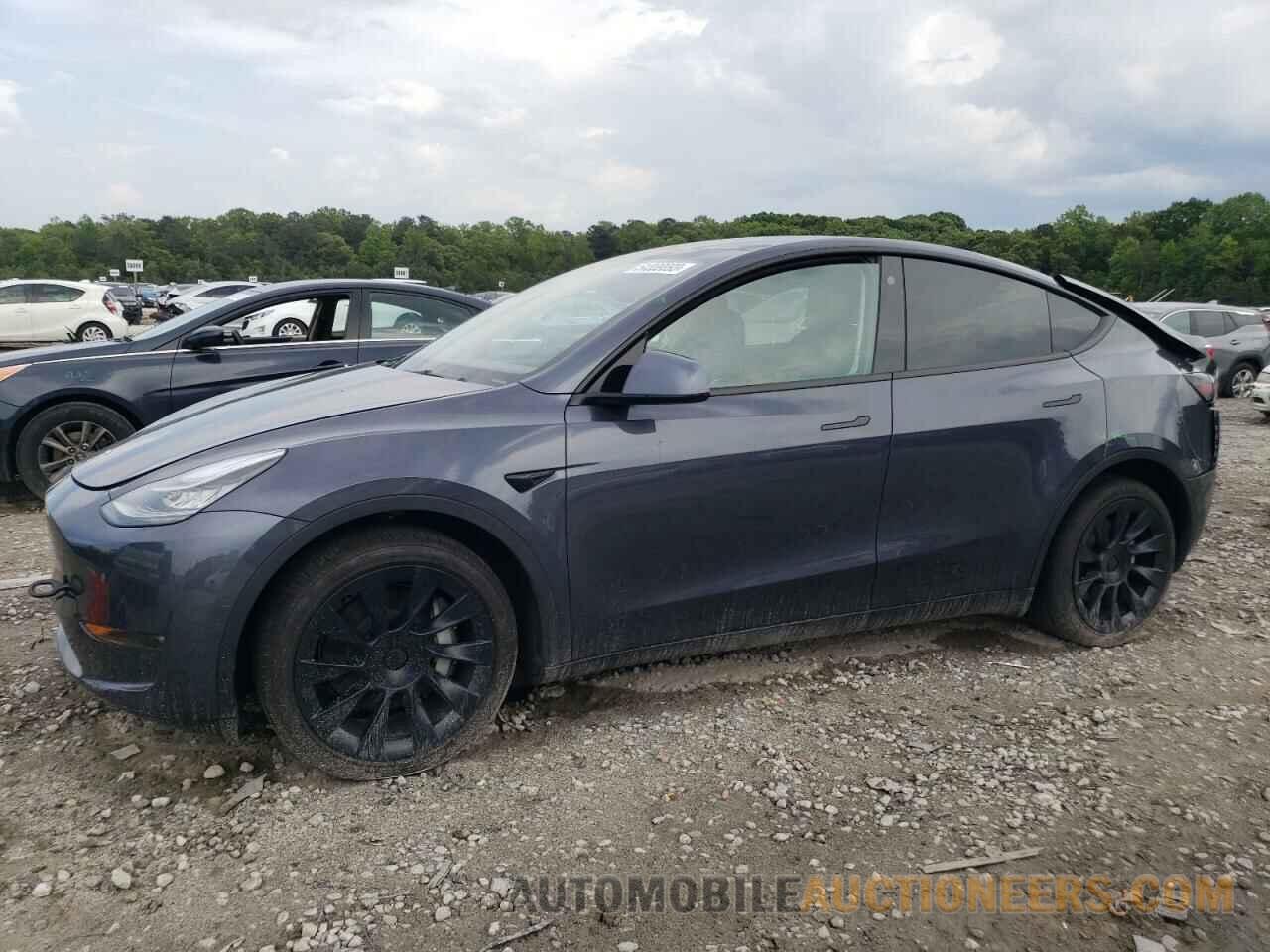 5YJYGDEE8MF297813 TESLA MODEL Y 2021