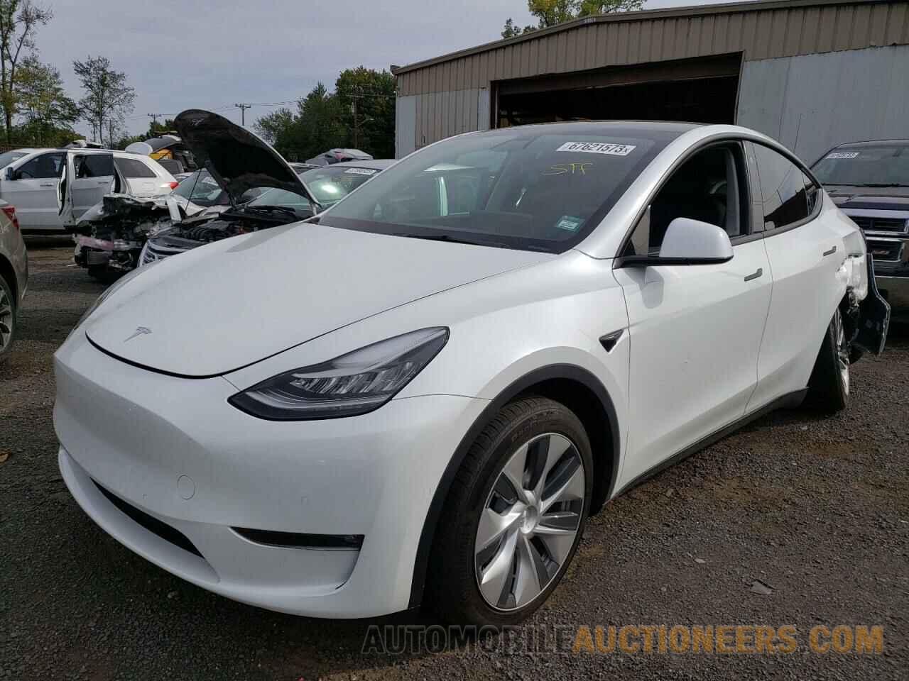 5YJYGDEE8MF300774 TESLA MODEL Y 2021