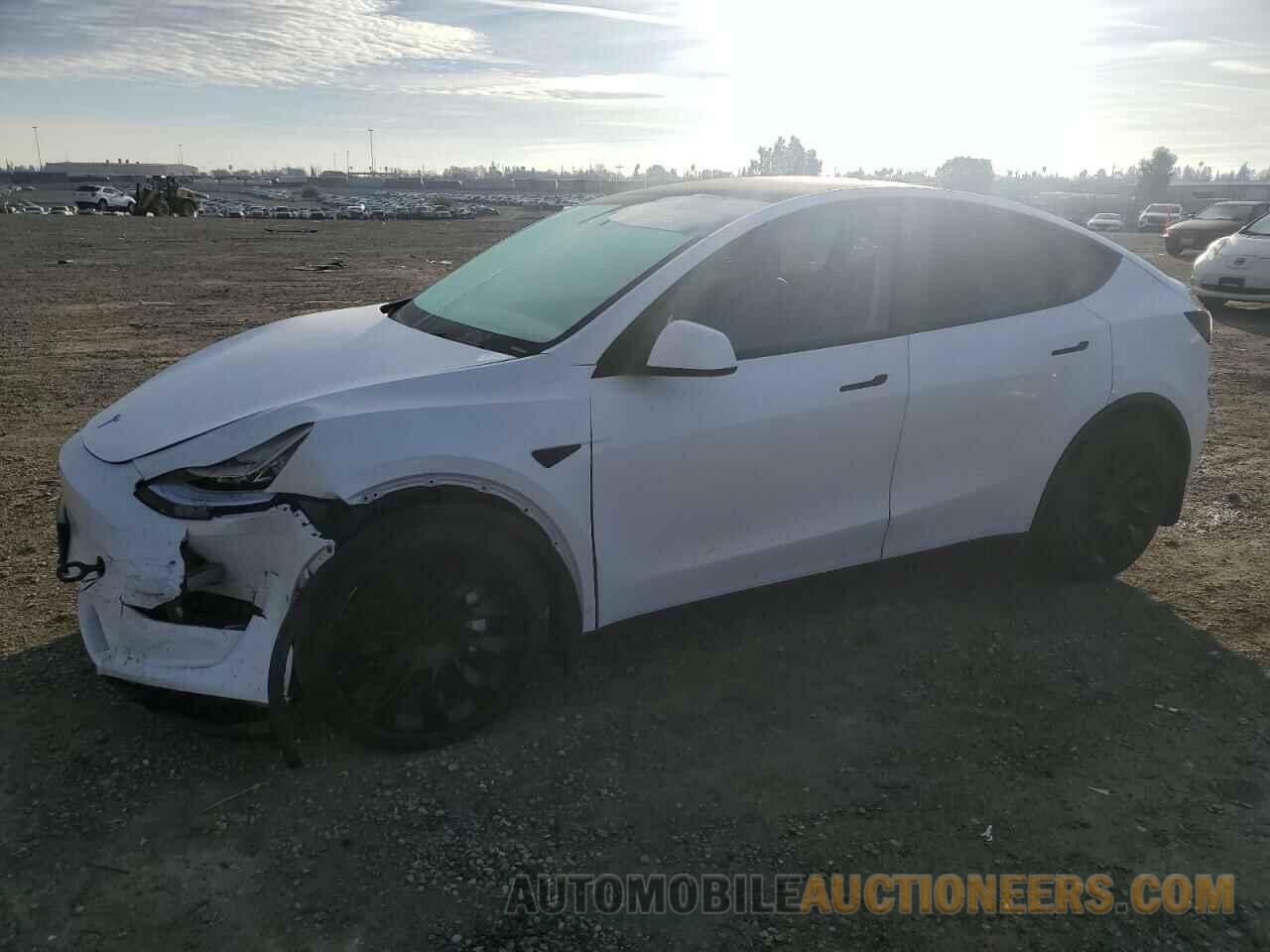 5YJYGDEE9MF102186 TESLA MODEL Y 2021