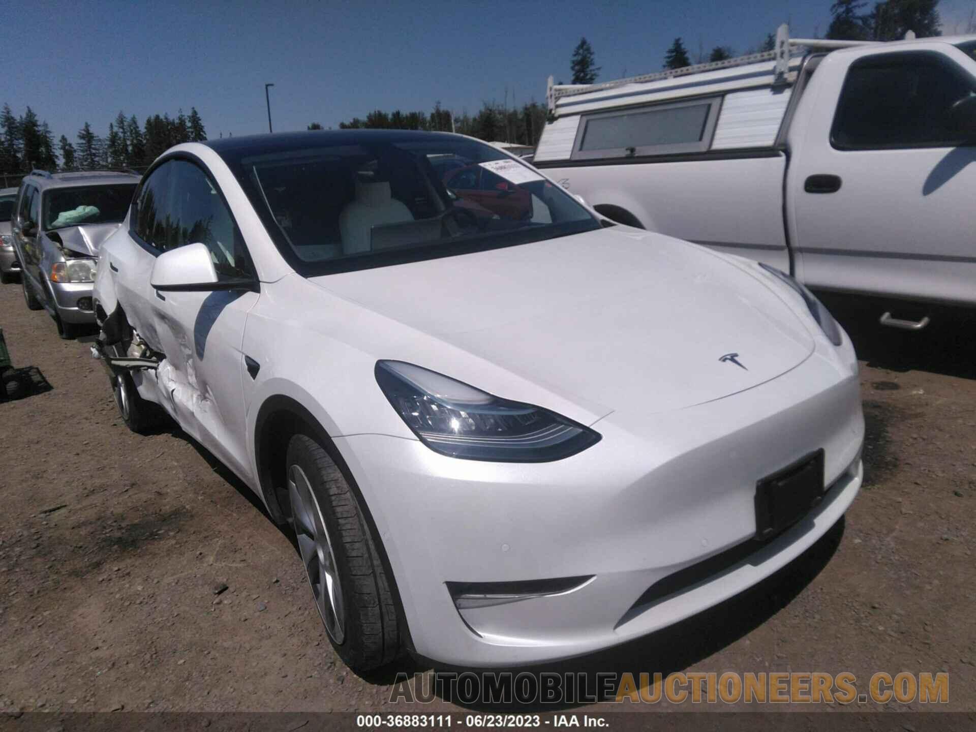 5YJYGDEE9MF243081 TESLA MODEL Y 2021