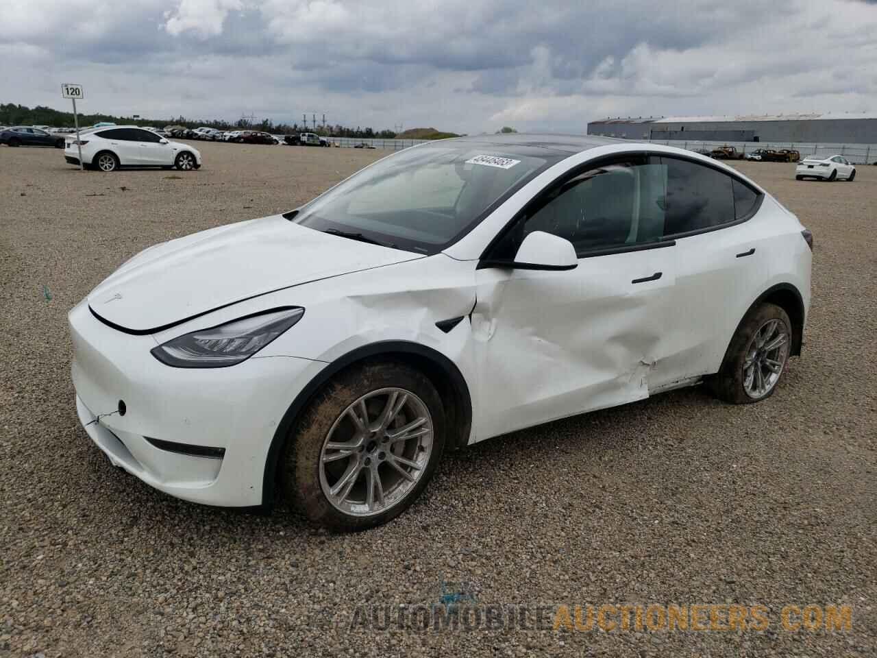 5YJYGDEEXMF087343 TESLA MODEL Y 2021