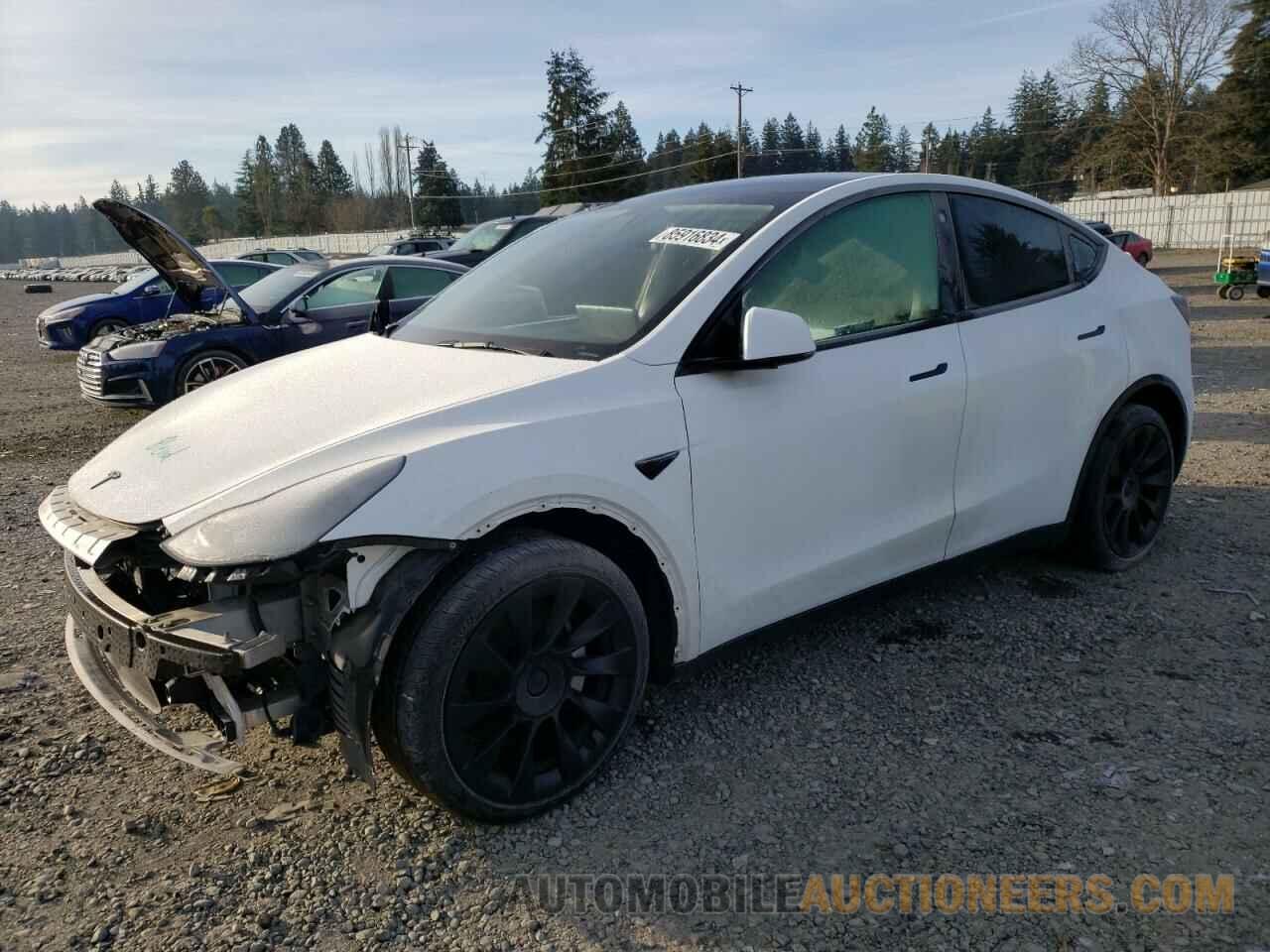 5YJYGDEEXMF095636 TESLA MODEL Y 2021