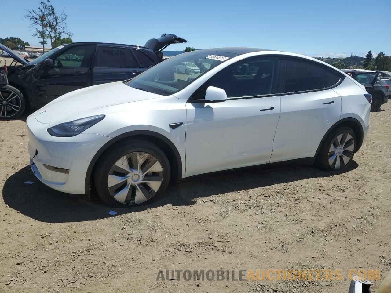 5YJYGDEEXMF118977 TESLA MODEL Y 2021