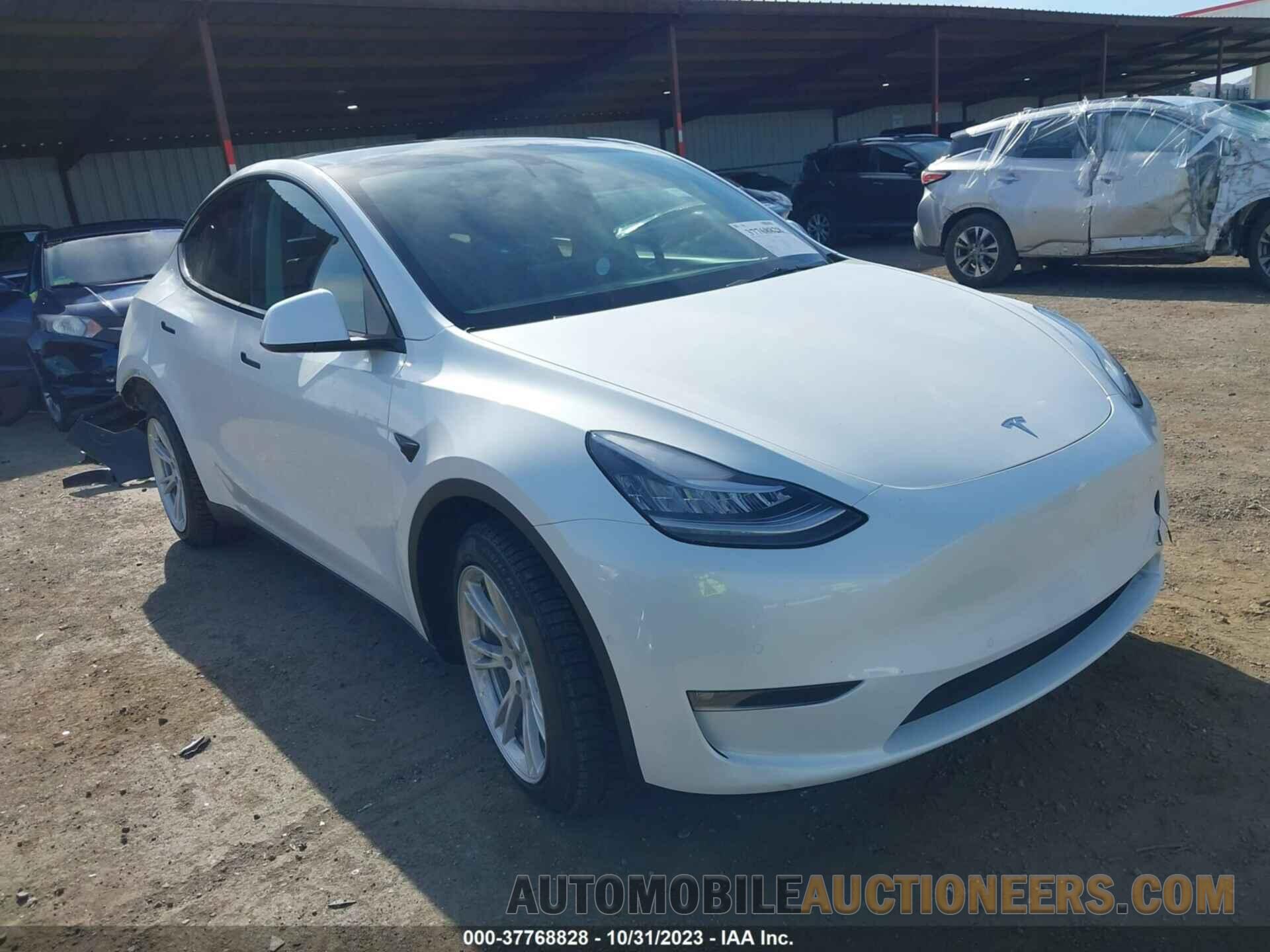 5YJYGDEEXMF231599 TESLA MODEL Y 2021