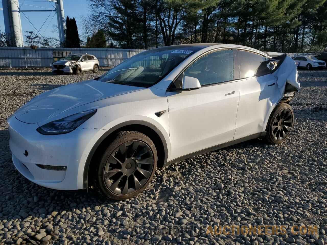 5YJYGDEEXMF286621 TESLA MODEL Y 2021