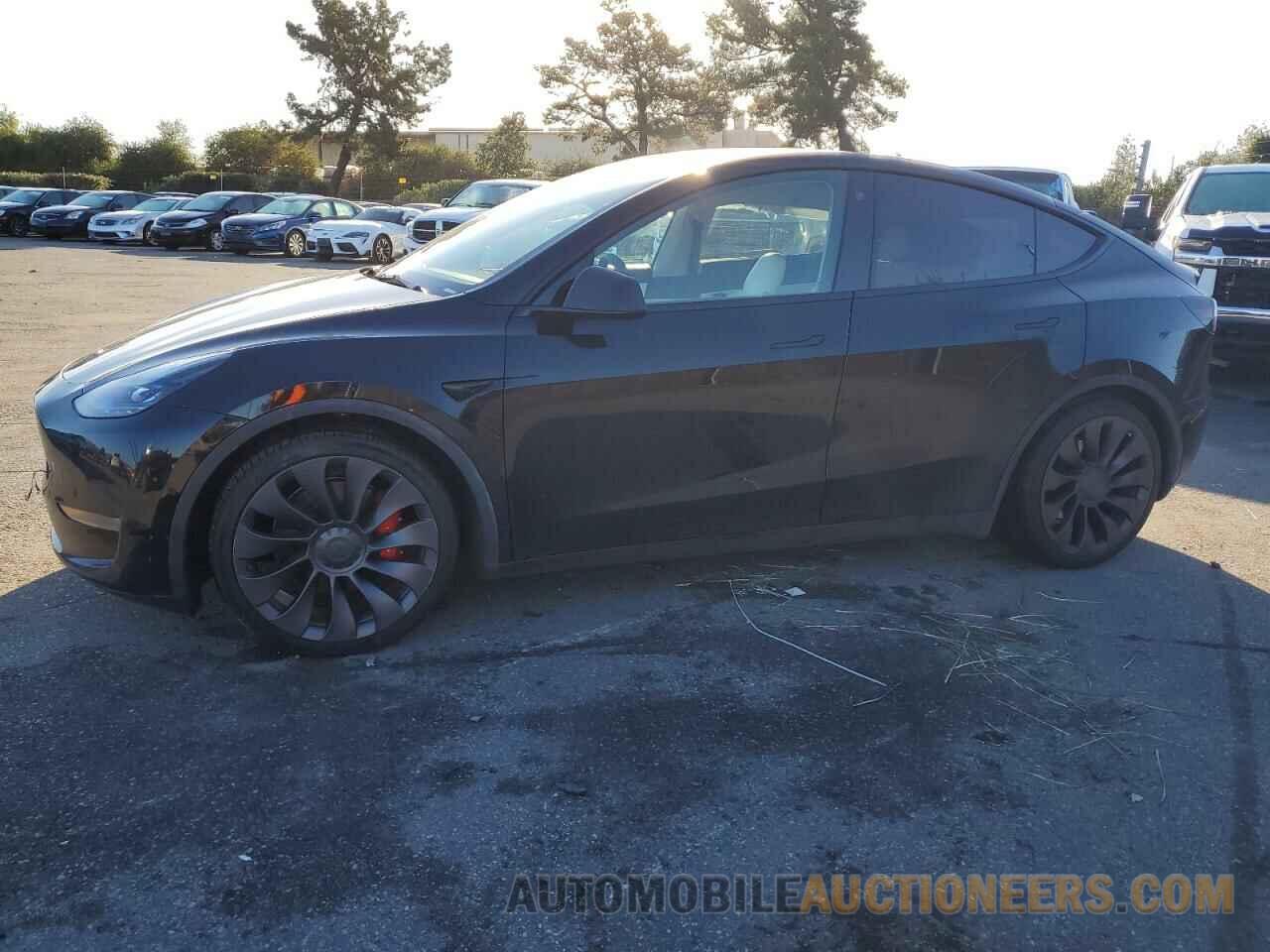 5YJYGDEF1MF215817 TESLA MODEL Y 2021