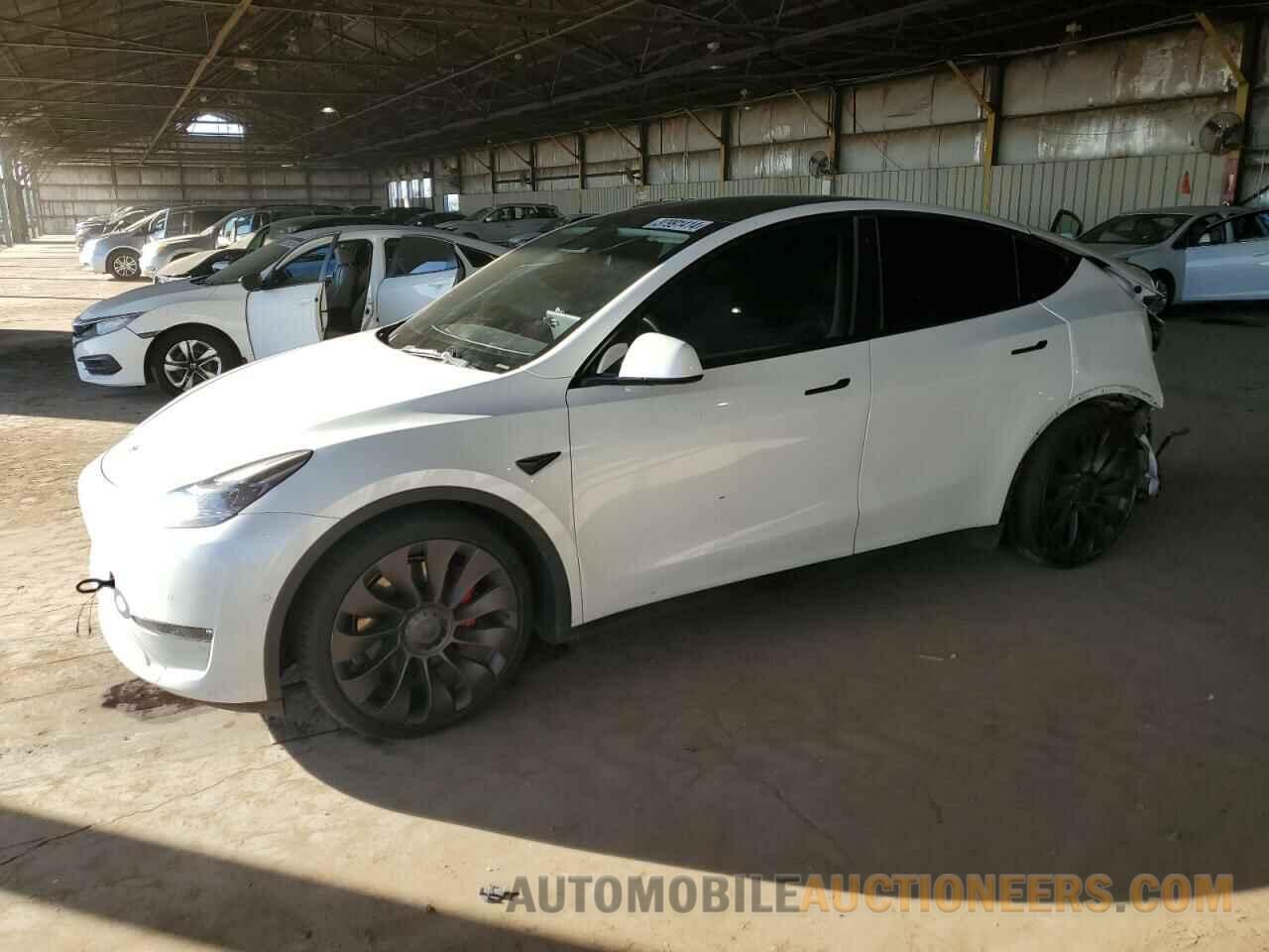 5YJYGDEF1MF216031 TESLA MODEL Y 2021