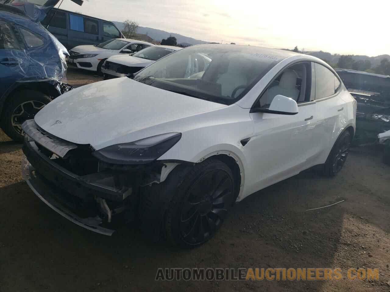 5YJYGDEF4MF269659 TESLA MODEL Y 2021