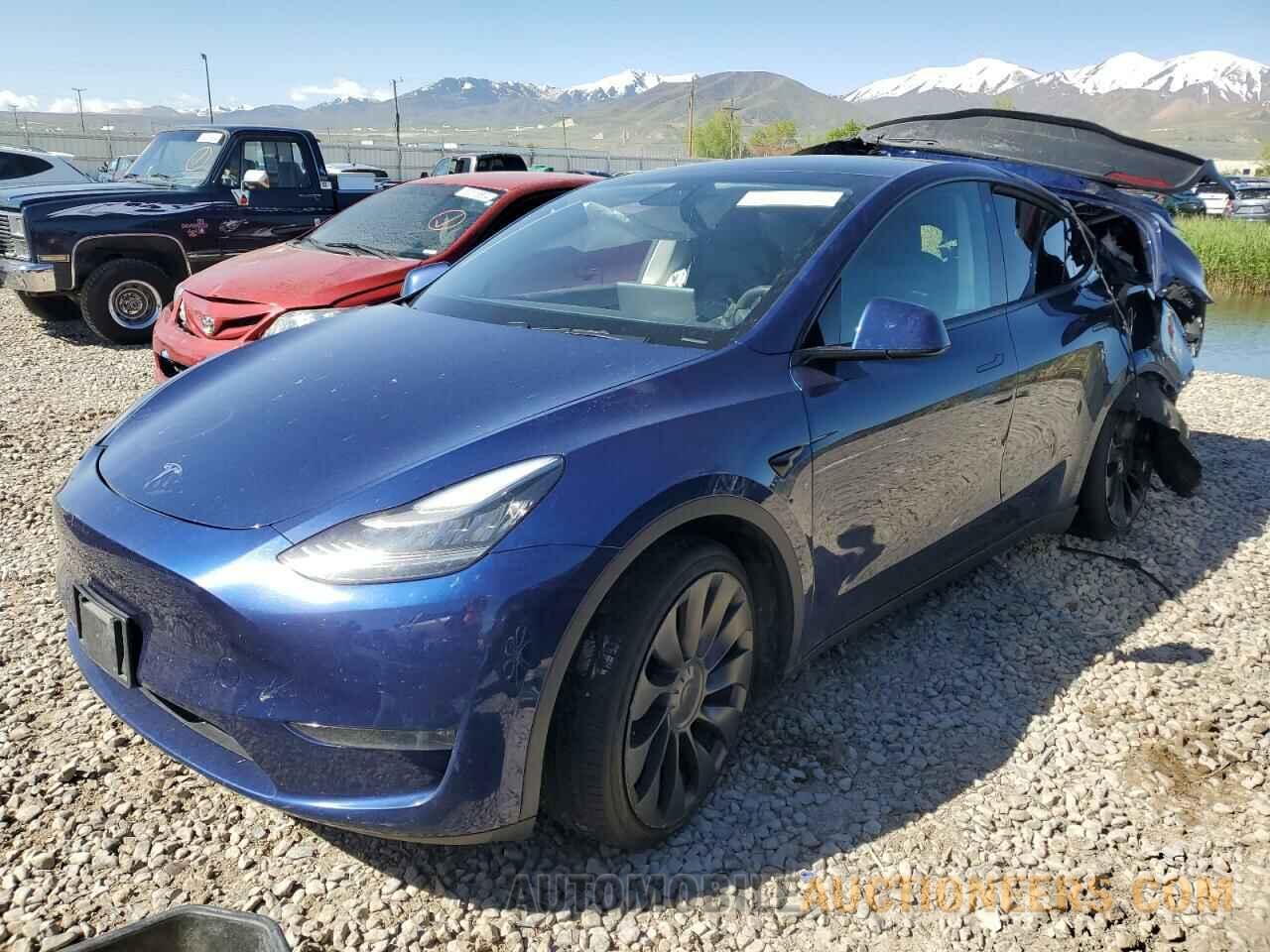 5YJYGDEF8MF081646 TESLA MODEL Y 2021