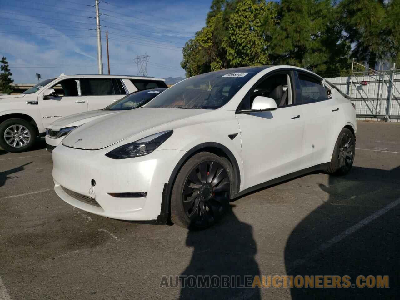 5YJYGDEF8MF194965 TESLA MODEL Y 2021