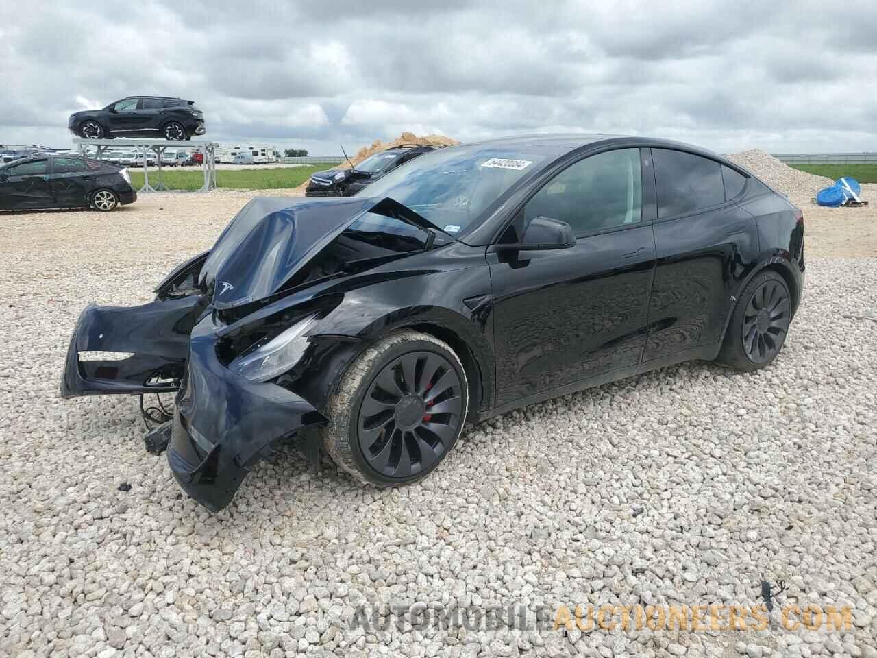 5YJYGDEF8MF216026 TESLA MODEL Y 2021