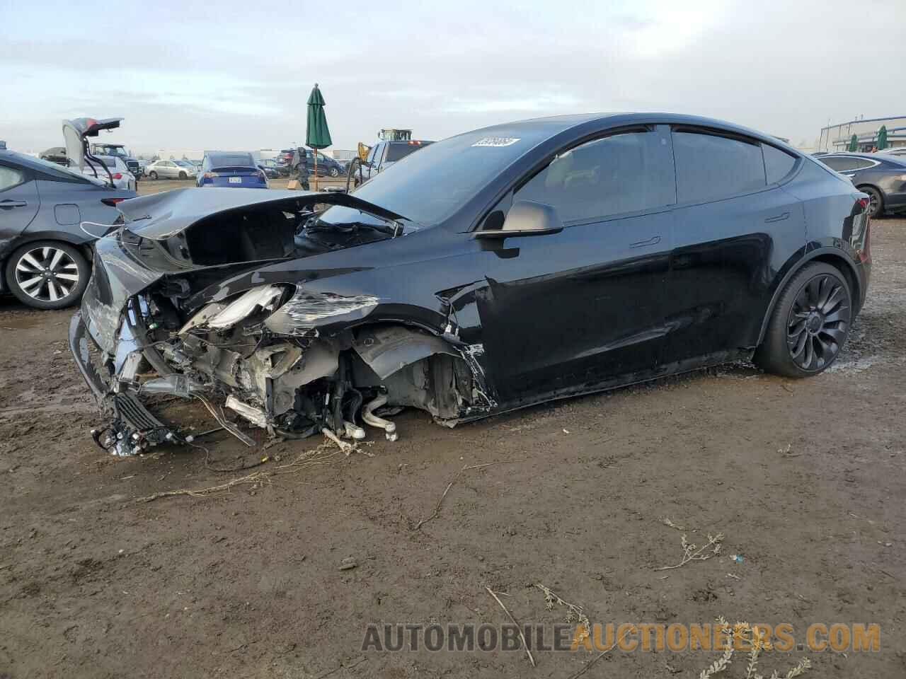 5YJYGDEF9MF251982 TESLA MODEL Y 2021