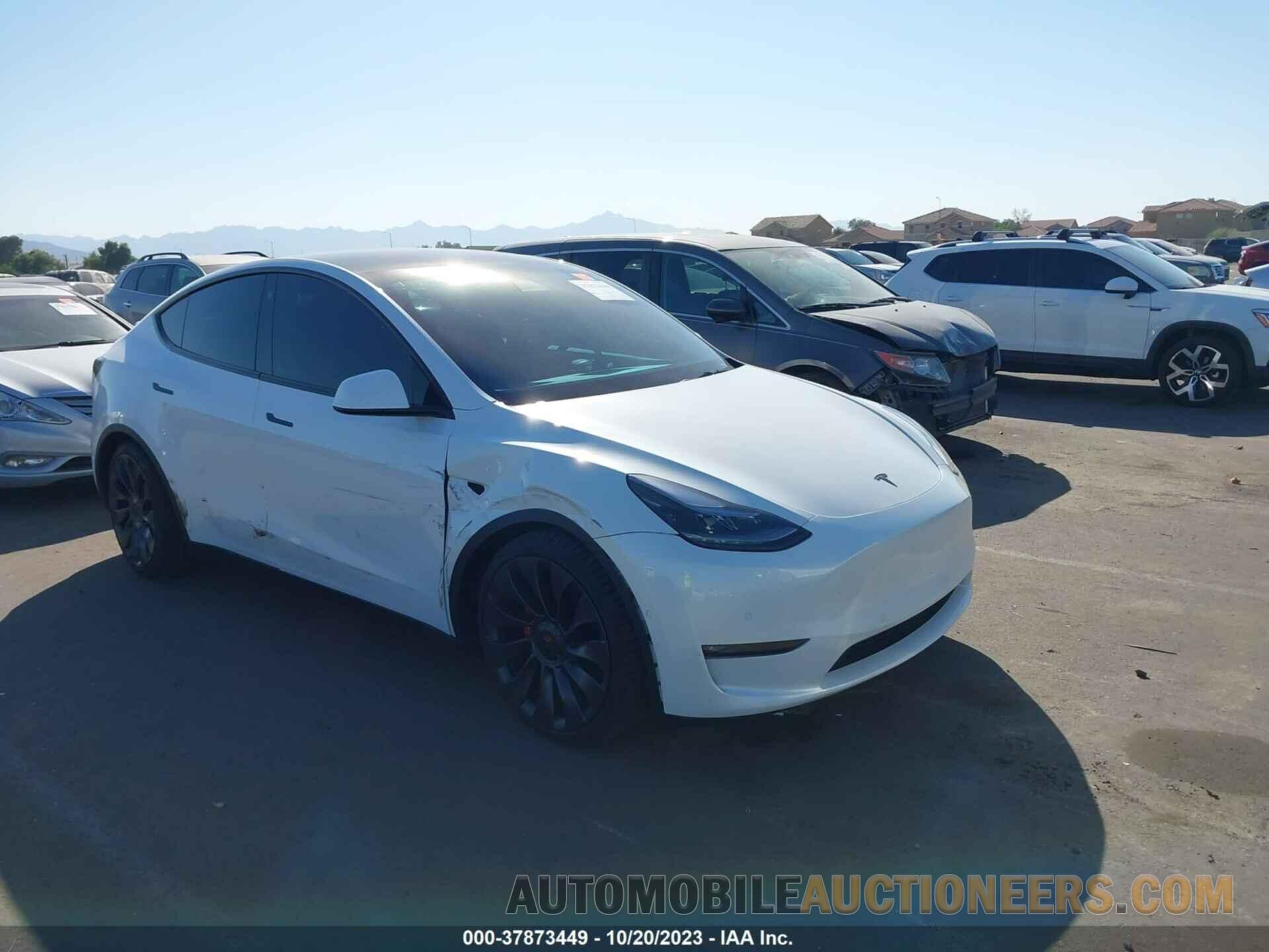 5YJYGDEF9MF294489 TESLA MODEL Y 2021