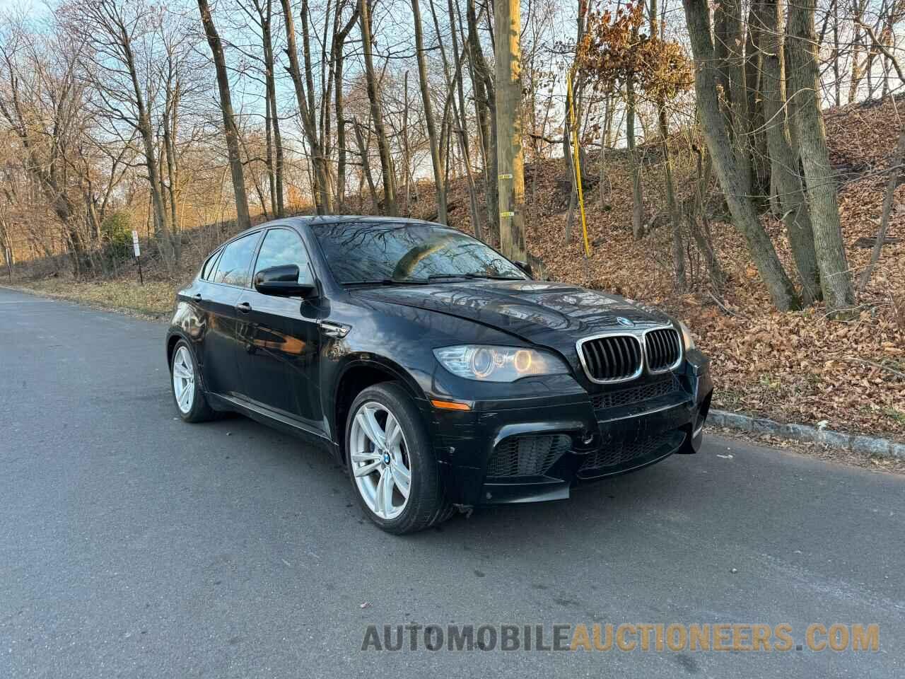 5YMGZ0C53DLL30139 BMW X6 2013