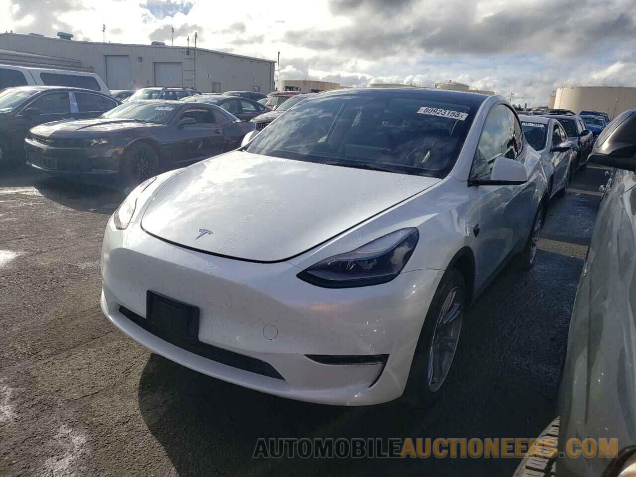 7SAYGAEE4NF552024 TESLA MODEL Y 2022