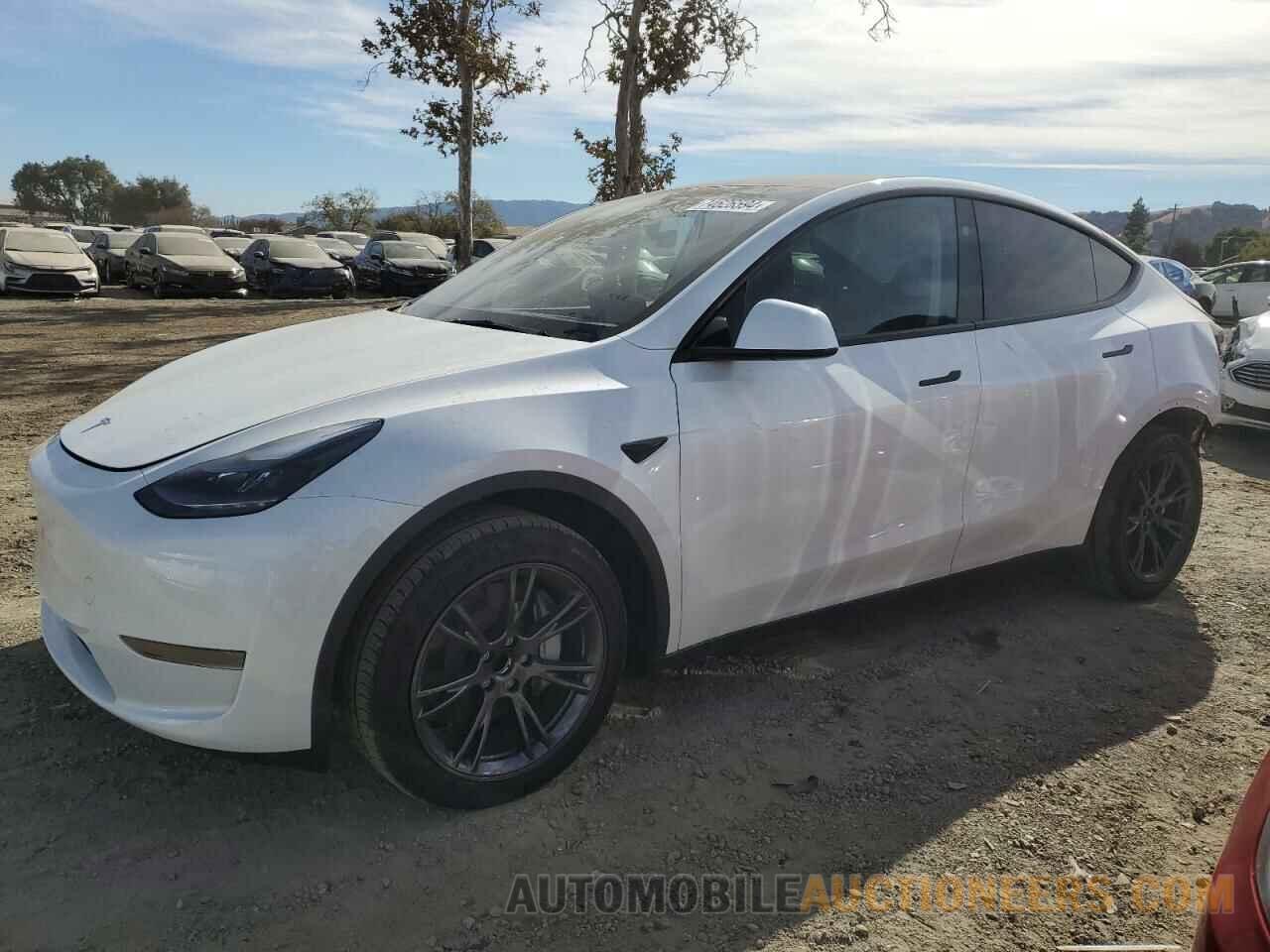 7SAYGDED2RF191388 TESLA MODEL Y 2024