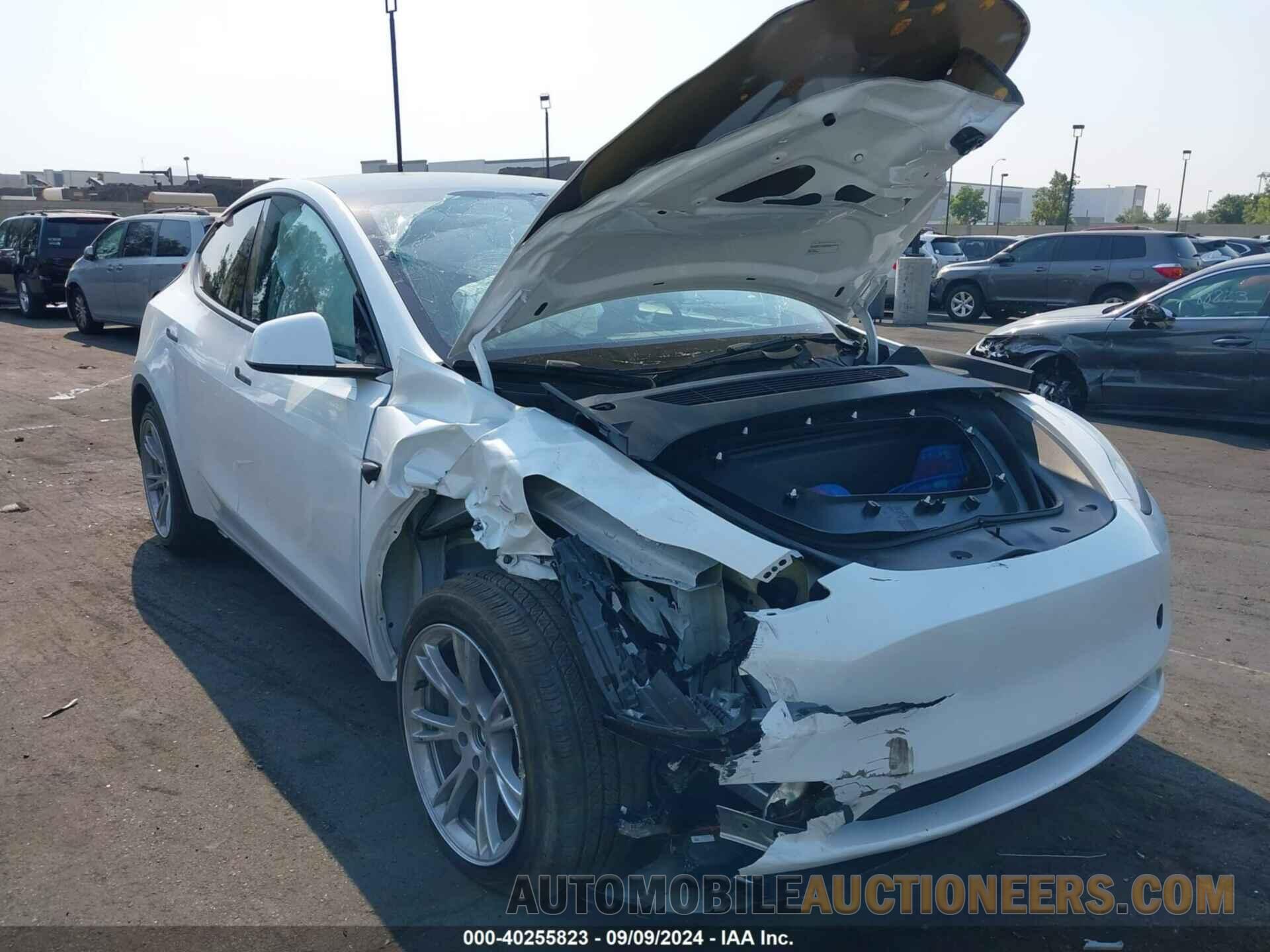 7SAYGDED3RF011125 TESLA MODEL Y 2024